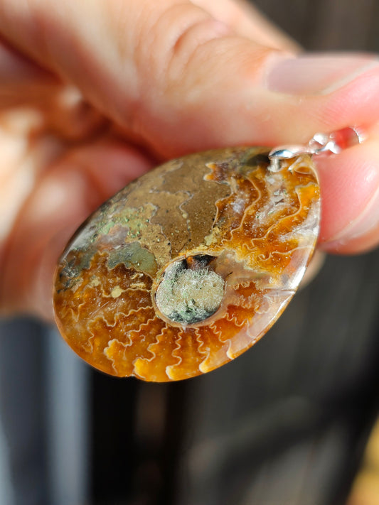 Pendentif Ammonite H