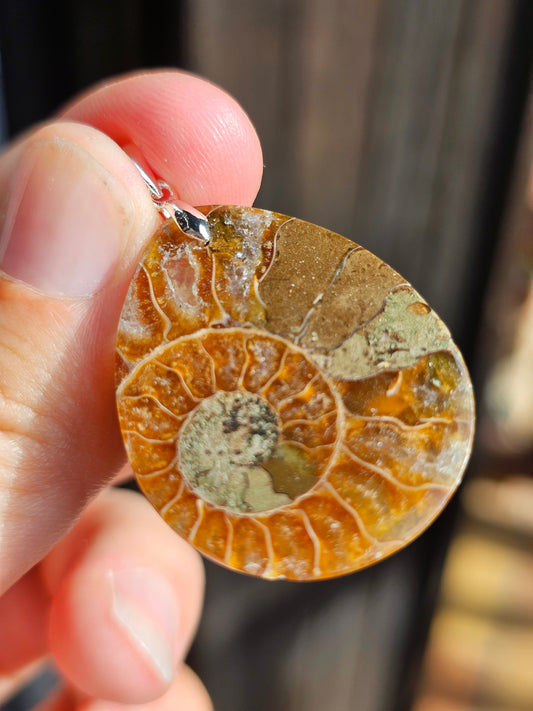 Pendentif Ammonite H