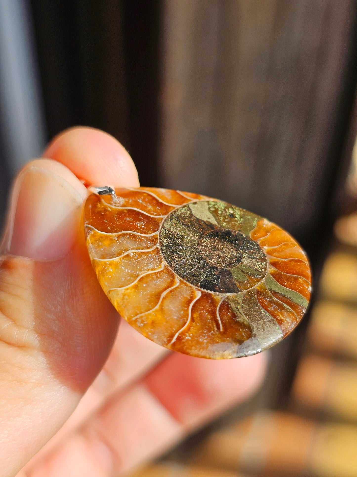 Pendentif Ammonite I