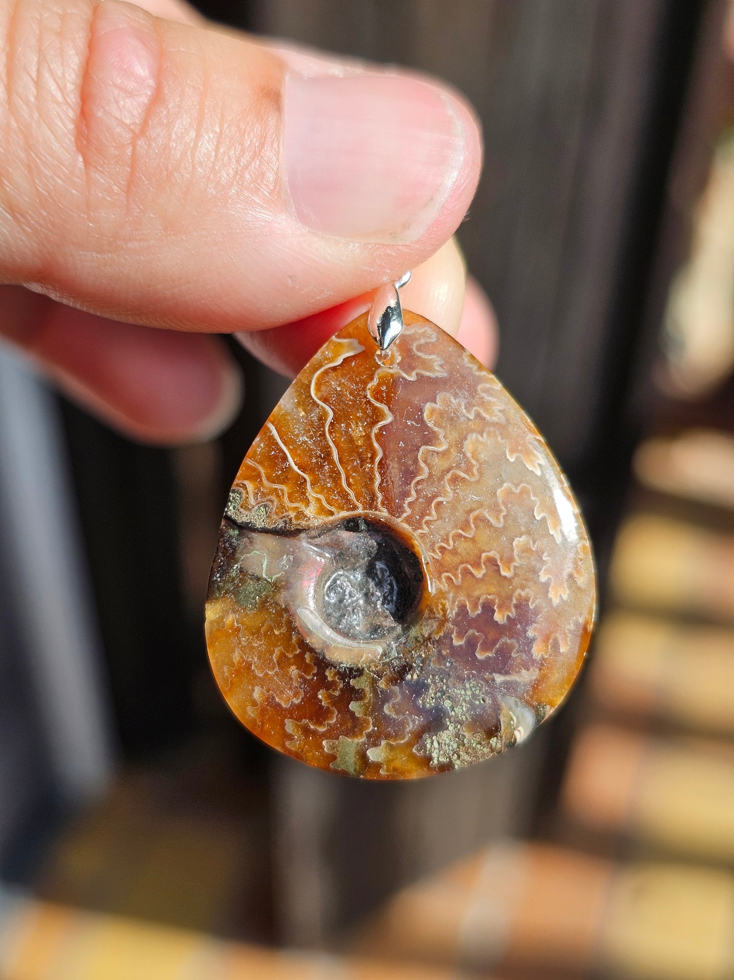 Pendentif Ammonite I