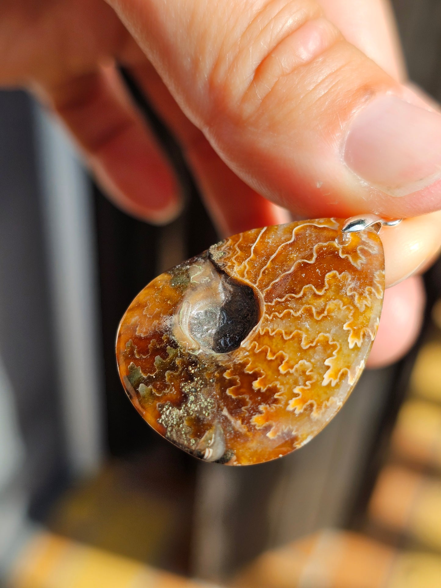 Pendentif Ammonite I