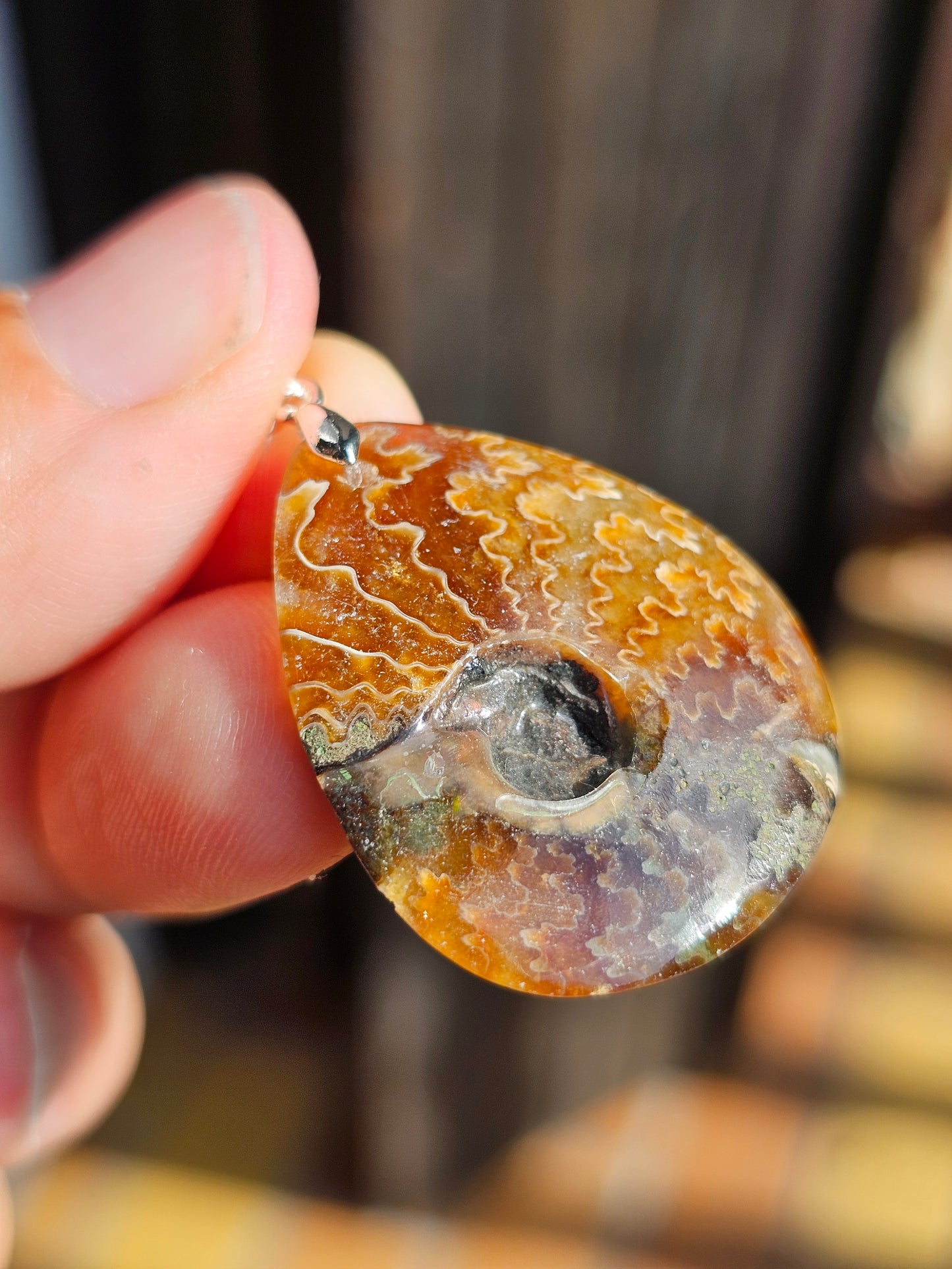 Pendentif Ammonite I