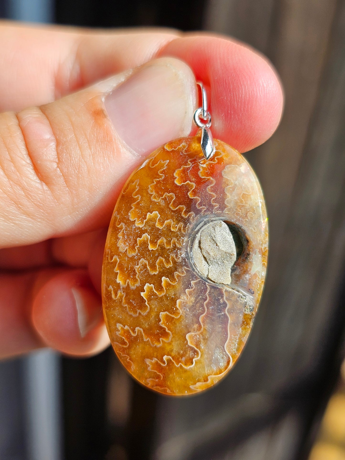 Pendentif Ammonite A
