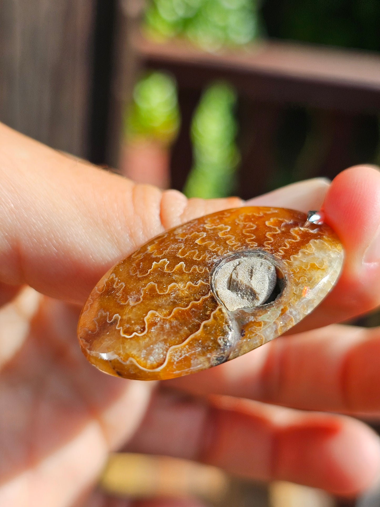 Pendentif Ammonite A