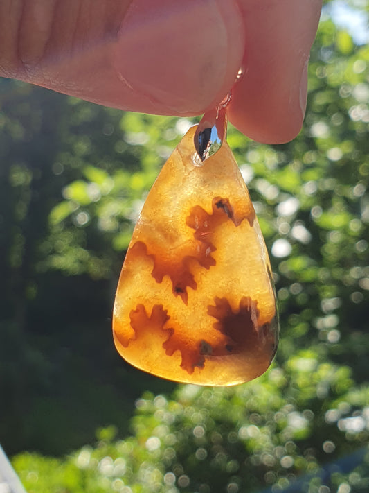 Pendentif Ammonite K