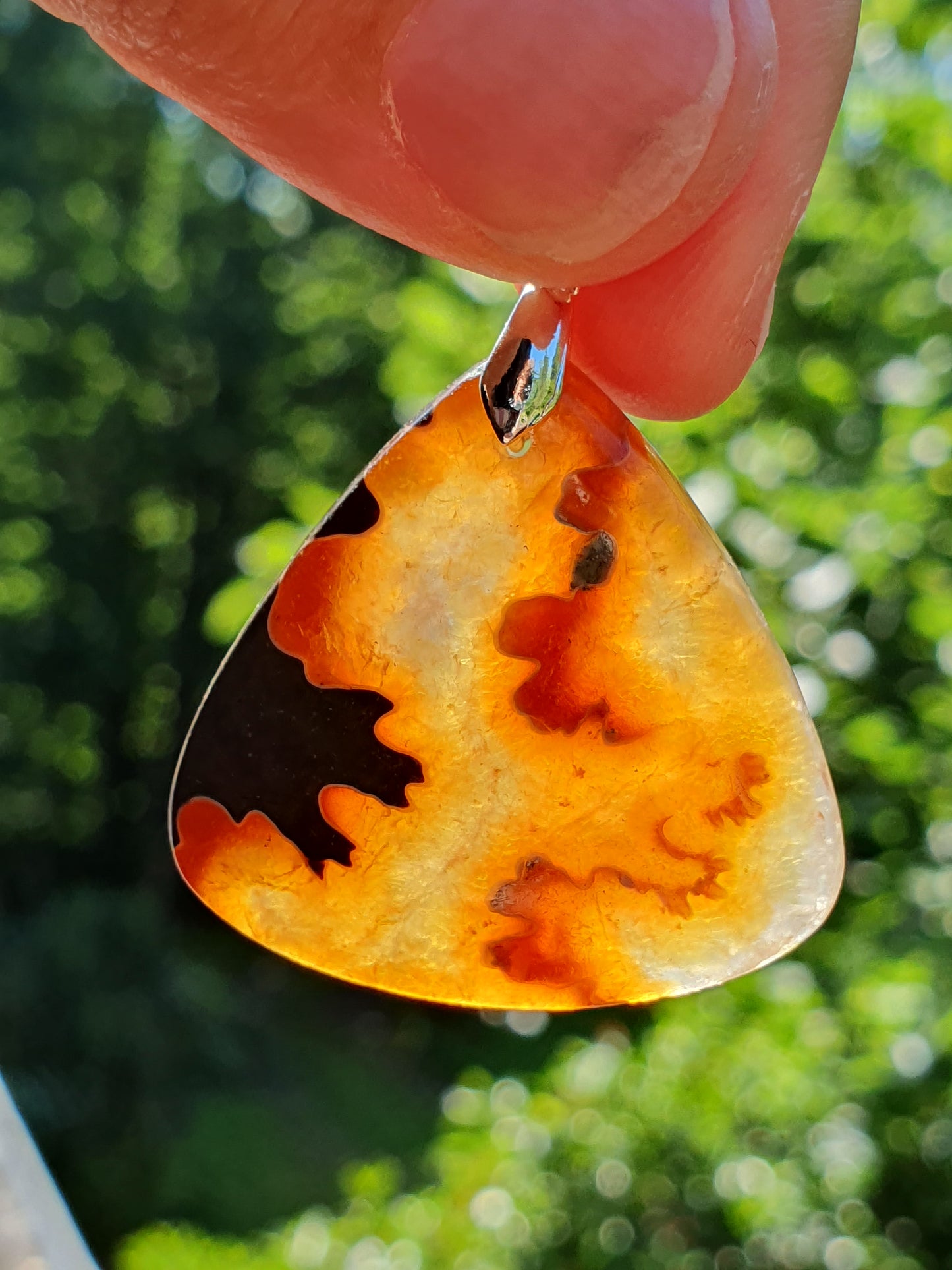 Pendentif Ammonite Q