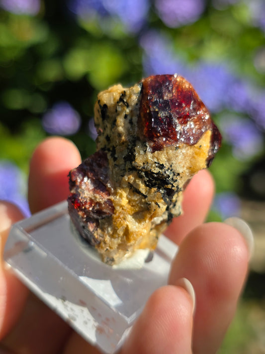 Zircon rouge du Pakistan C