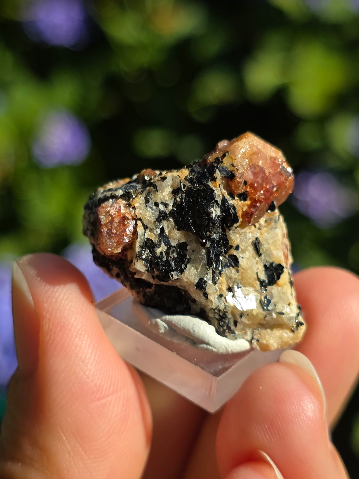 Zircon rouge du Pakistan D
