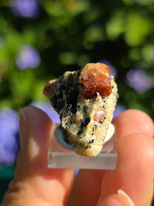 Zircon rouge du Pakistan D