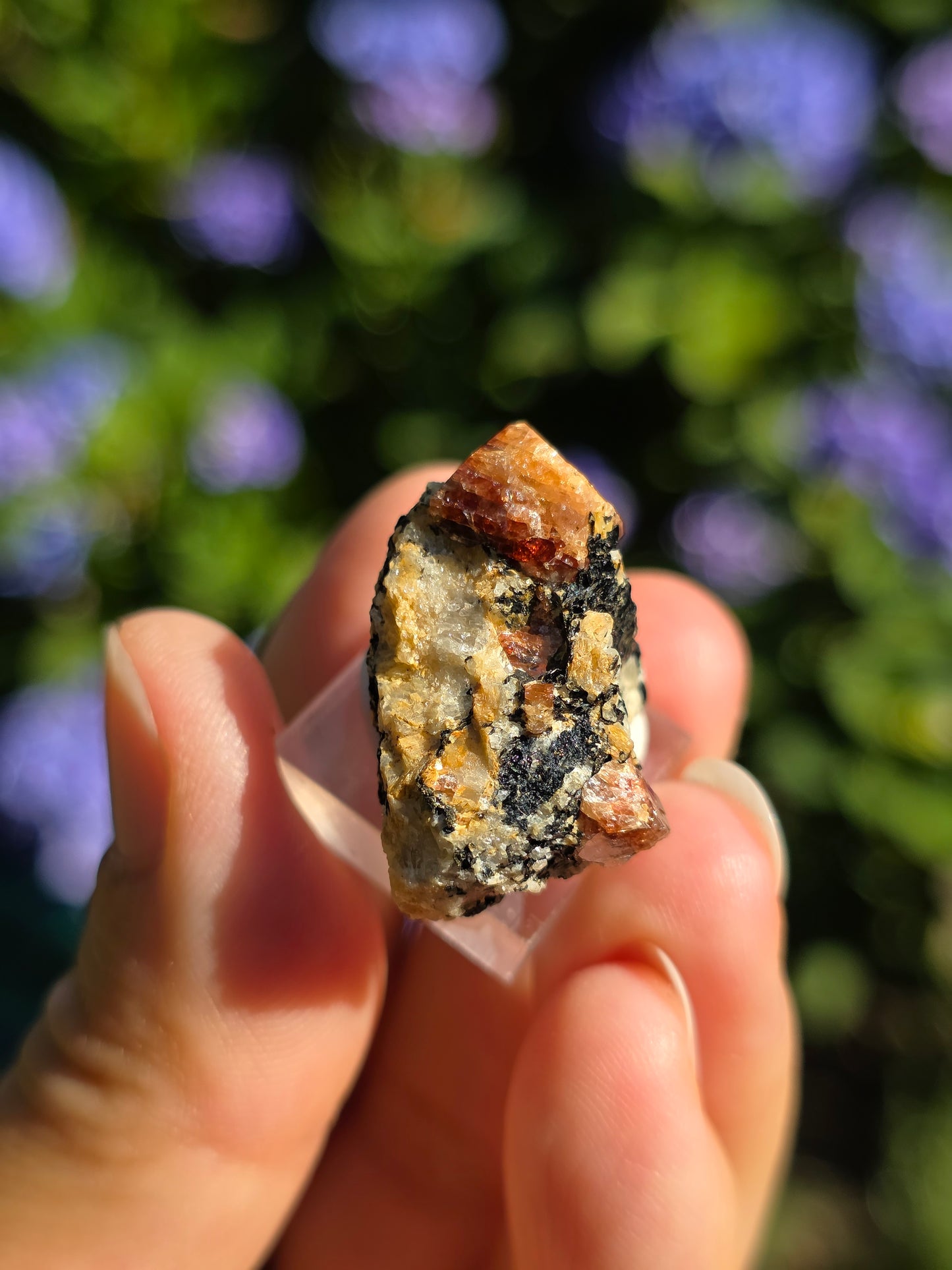 Zircon rouge du Pakistan D