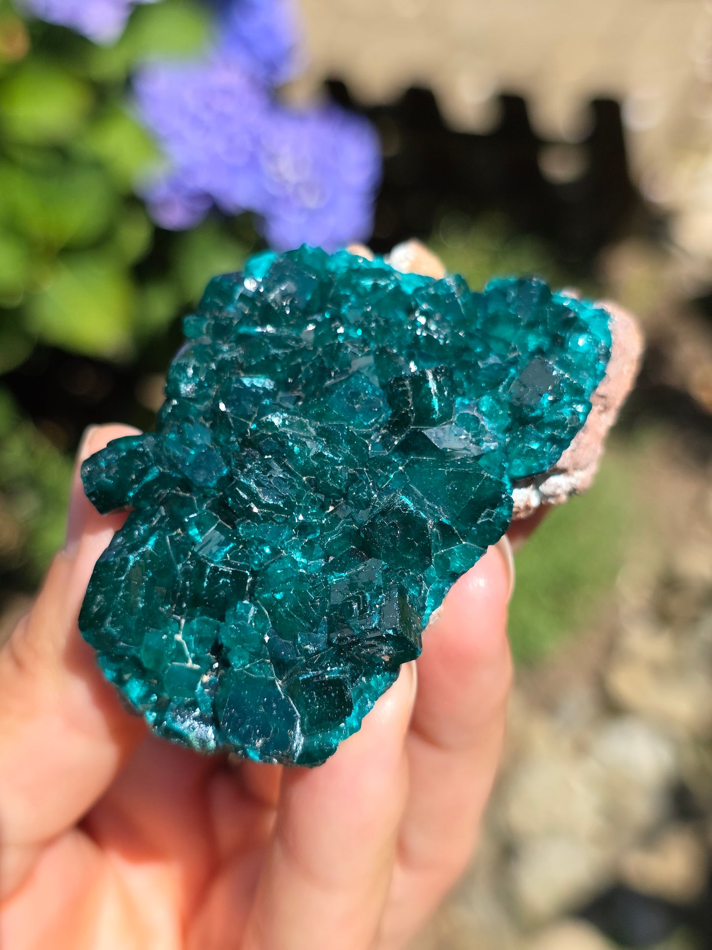 Dioptase cristallisée du Congo n°11