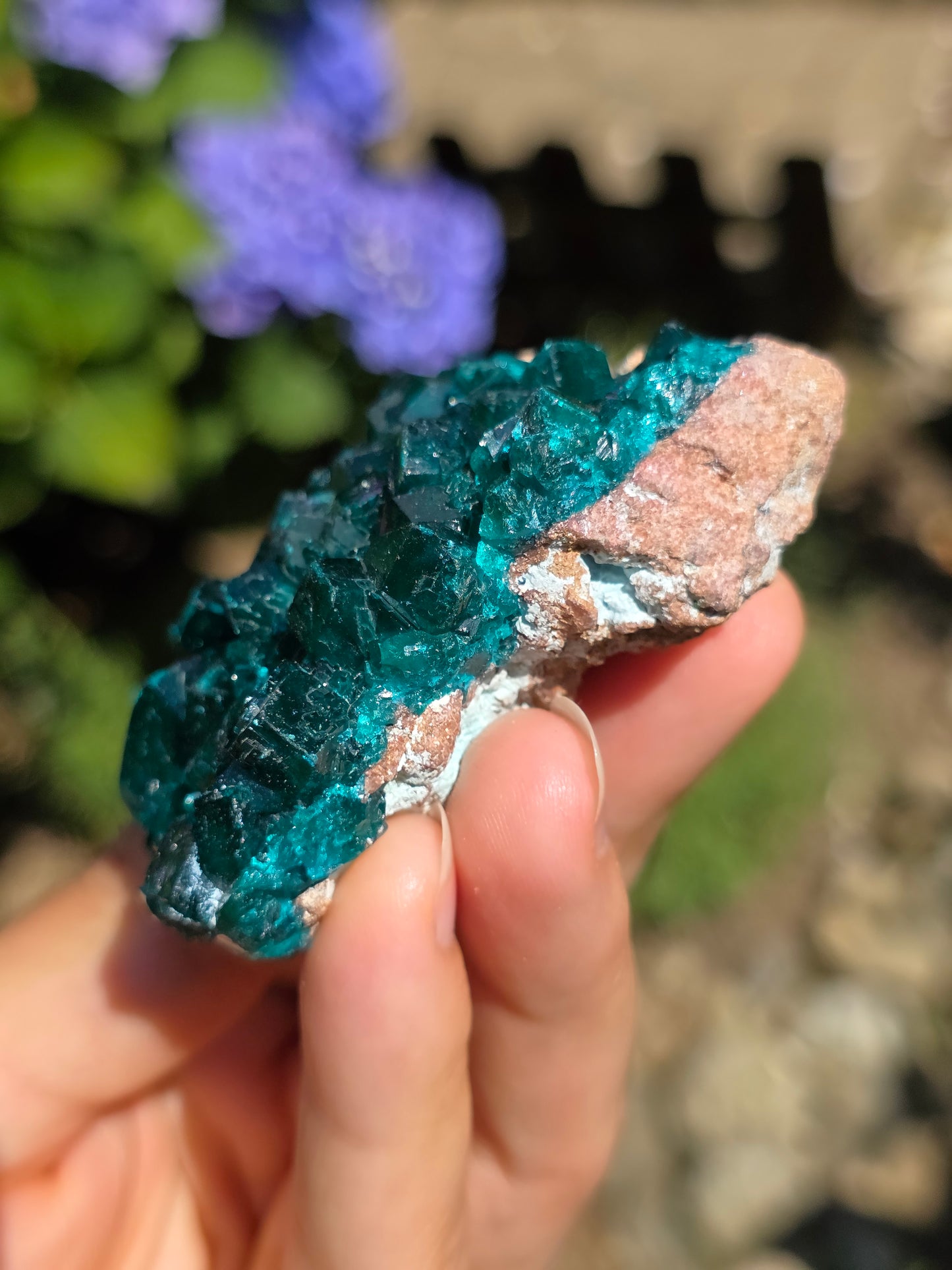 Dioptase cristallisée du Congo n°11