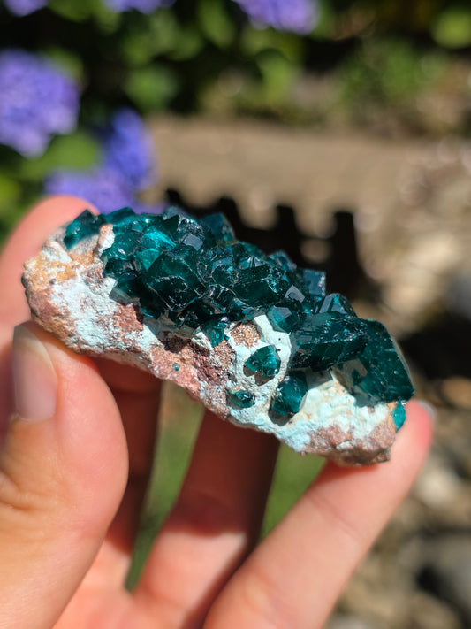 Dioptase cristallisée du Congo n°11