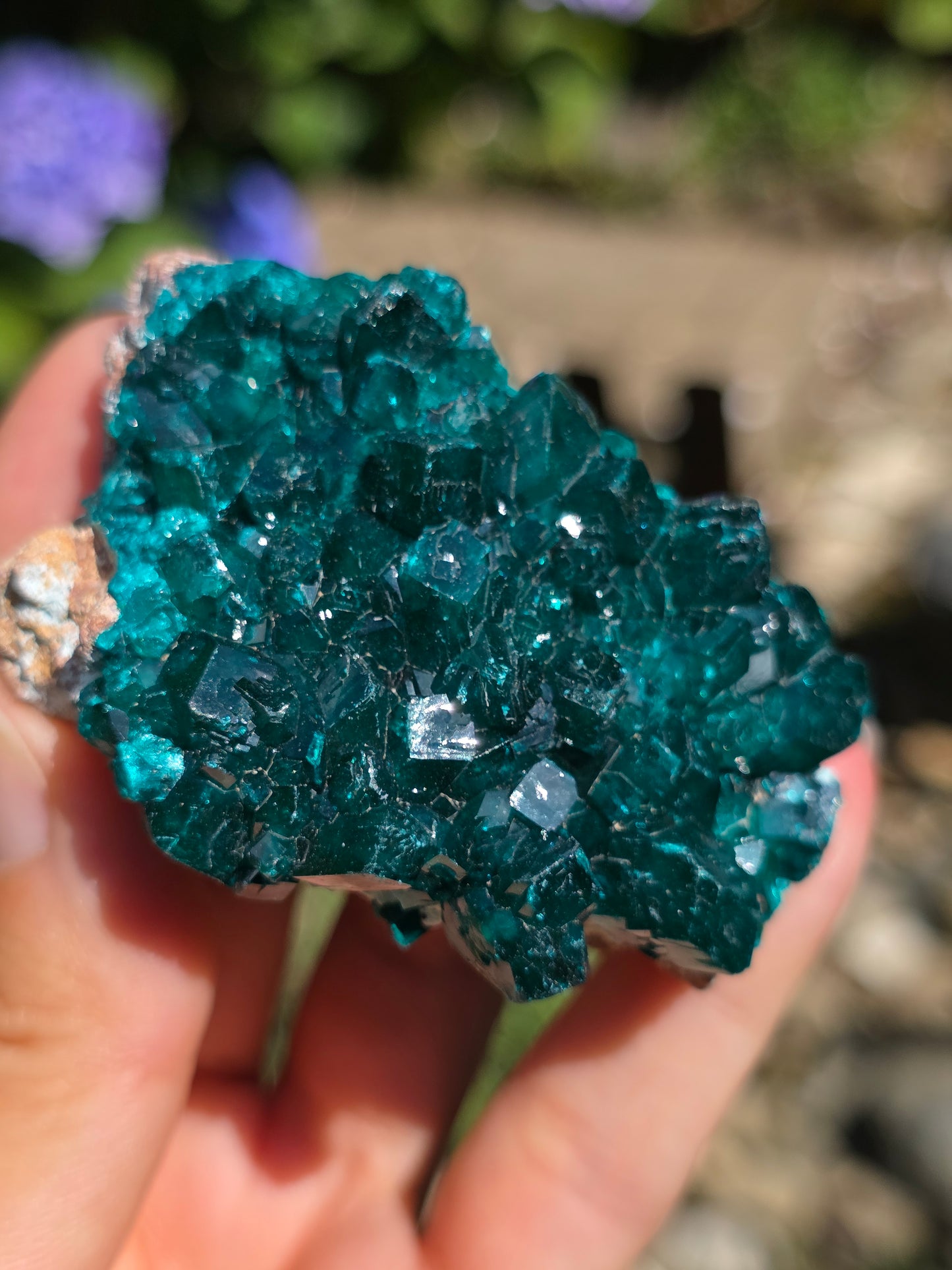 Dioptase cristallisée du Congo n°11