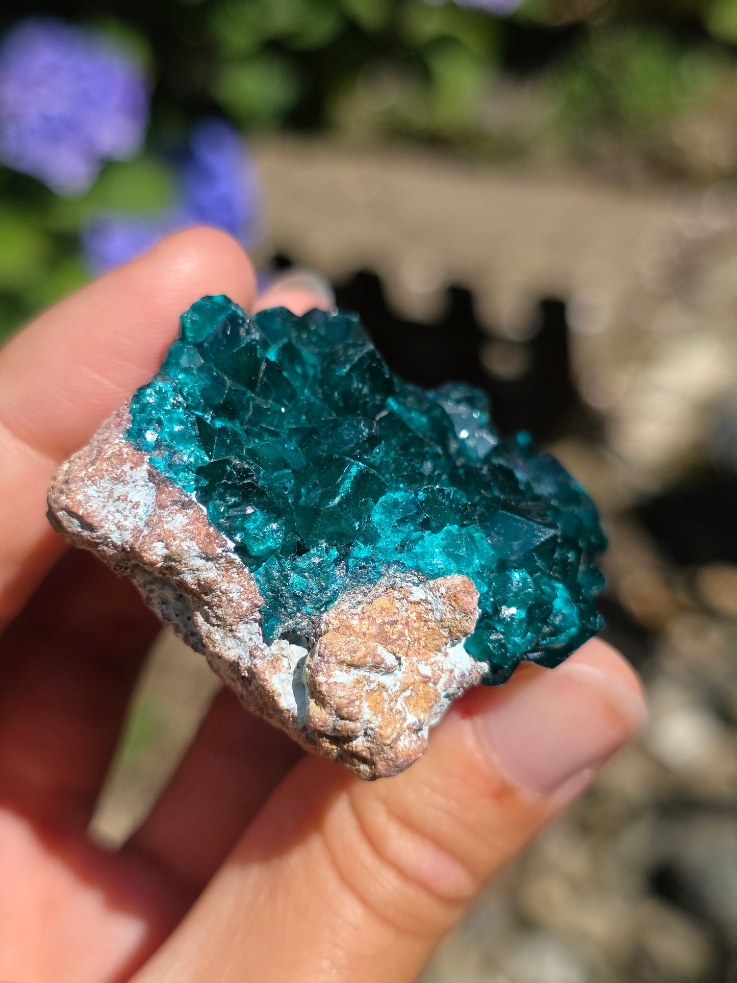 Dioptase cristallisée du Congo n°11