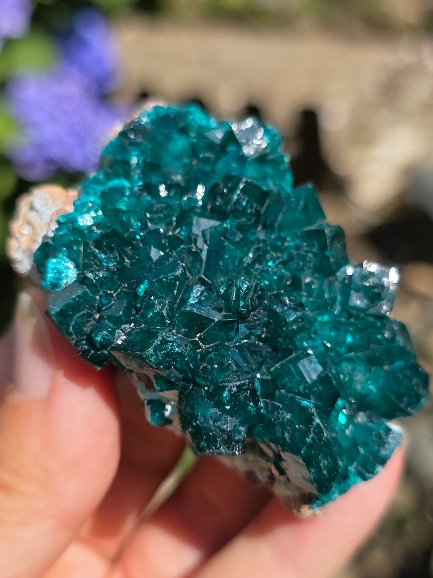 Dioptase cristallisée du Congo n°11