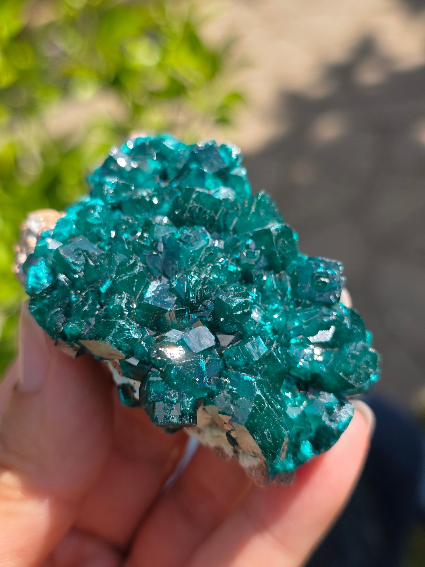 Dioptase cristallisée du Congo n°11