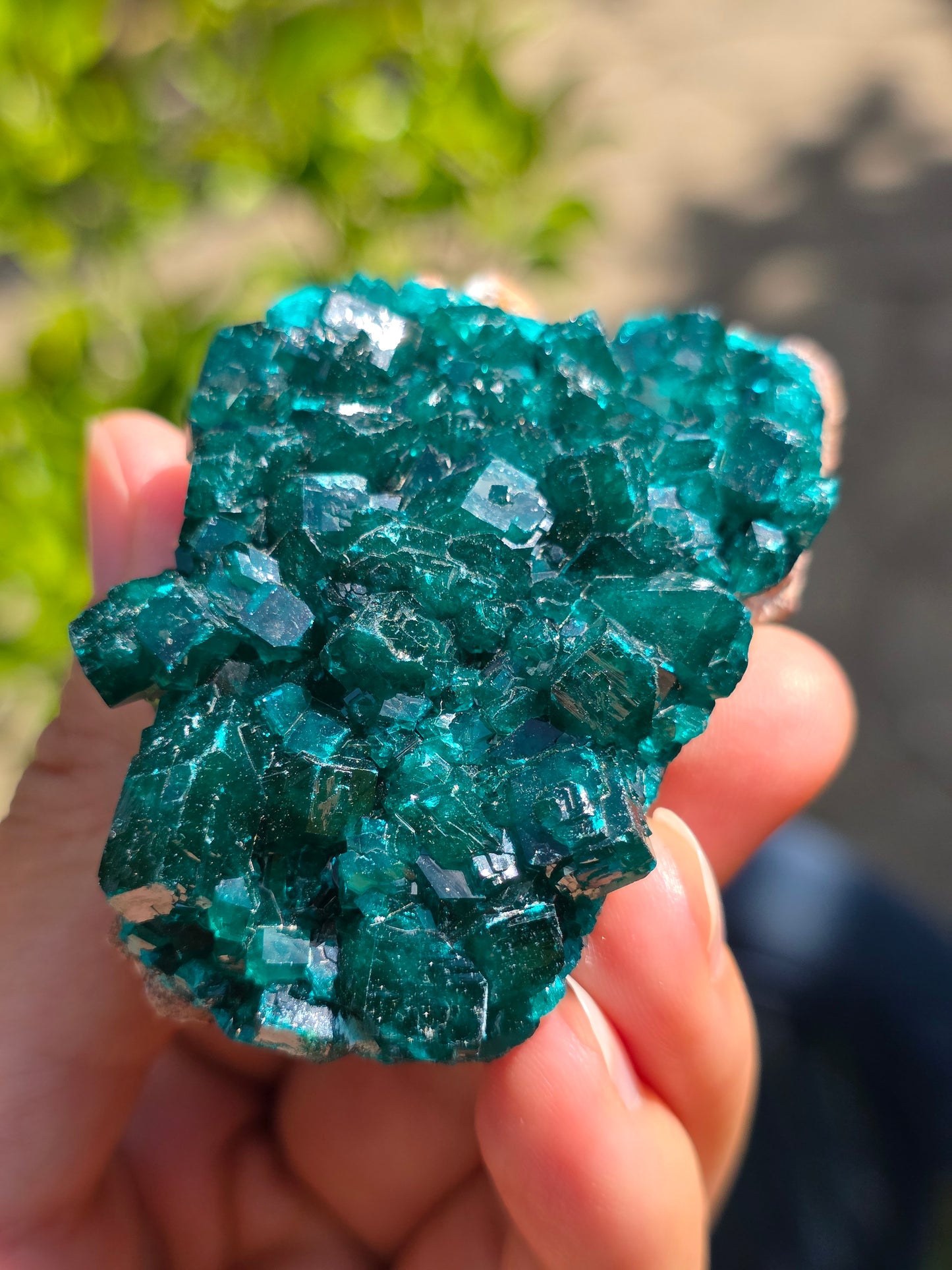 Dioptase cristallisée du Congo n°11
