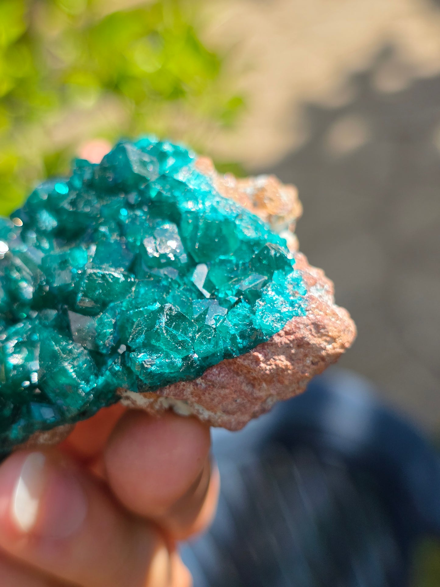 Dioptase cristallisée du Congo n°11