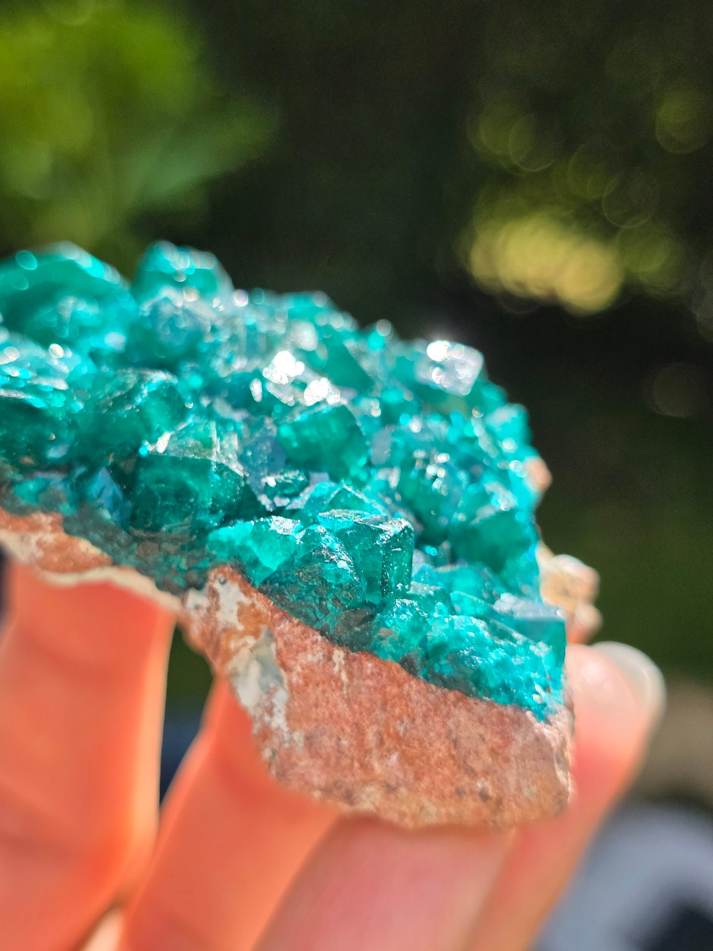 Dioptase cristallisée du Congo n°11