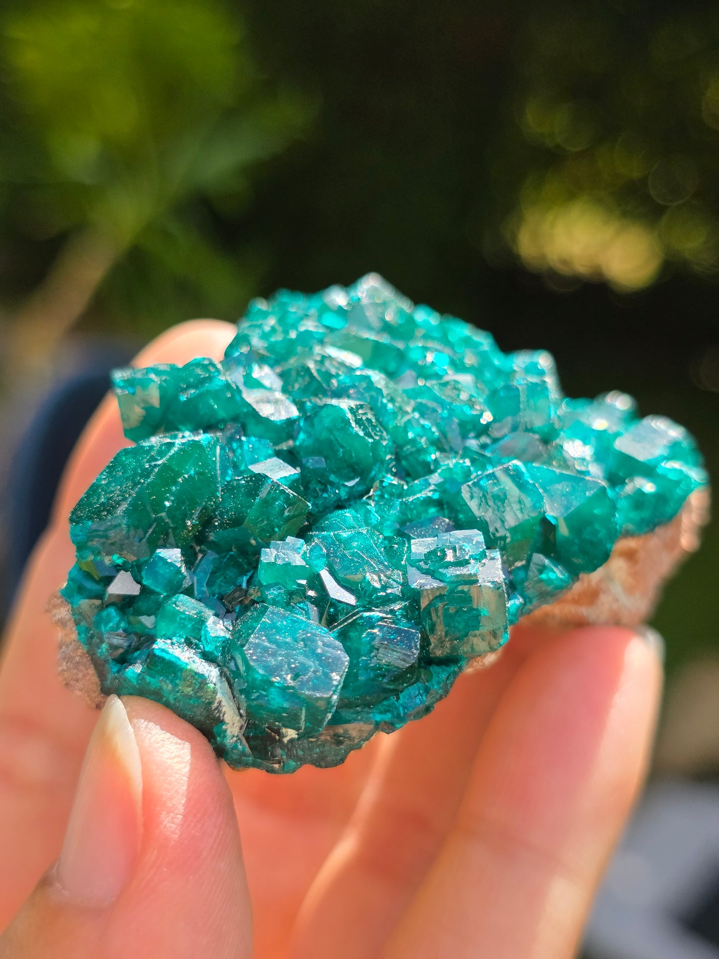 Dioptase cristallisée du Congo n°11