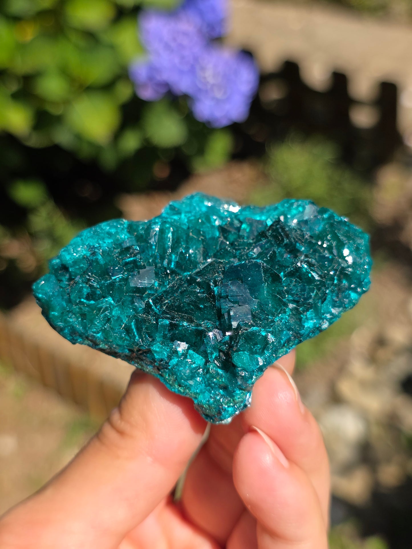 Dioptase cristallisée du Congo n°12