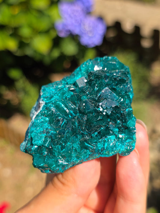 Dioptase cristallisée du Congo n°12