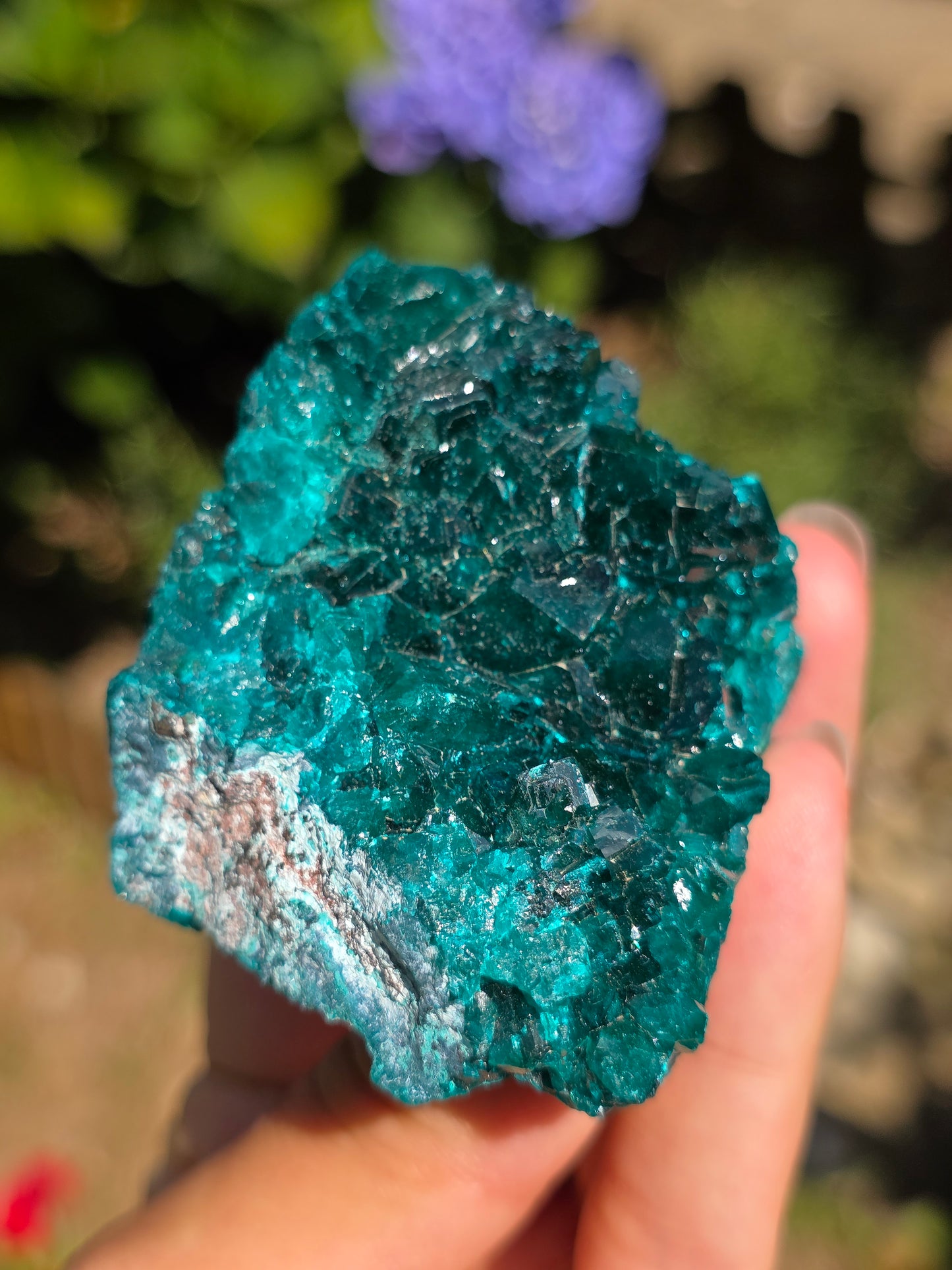 Dioptase cristallisée du Congo n°12