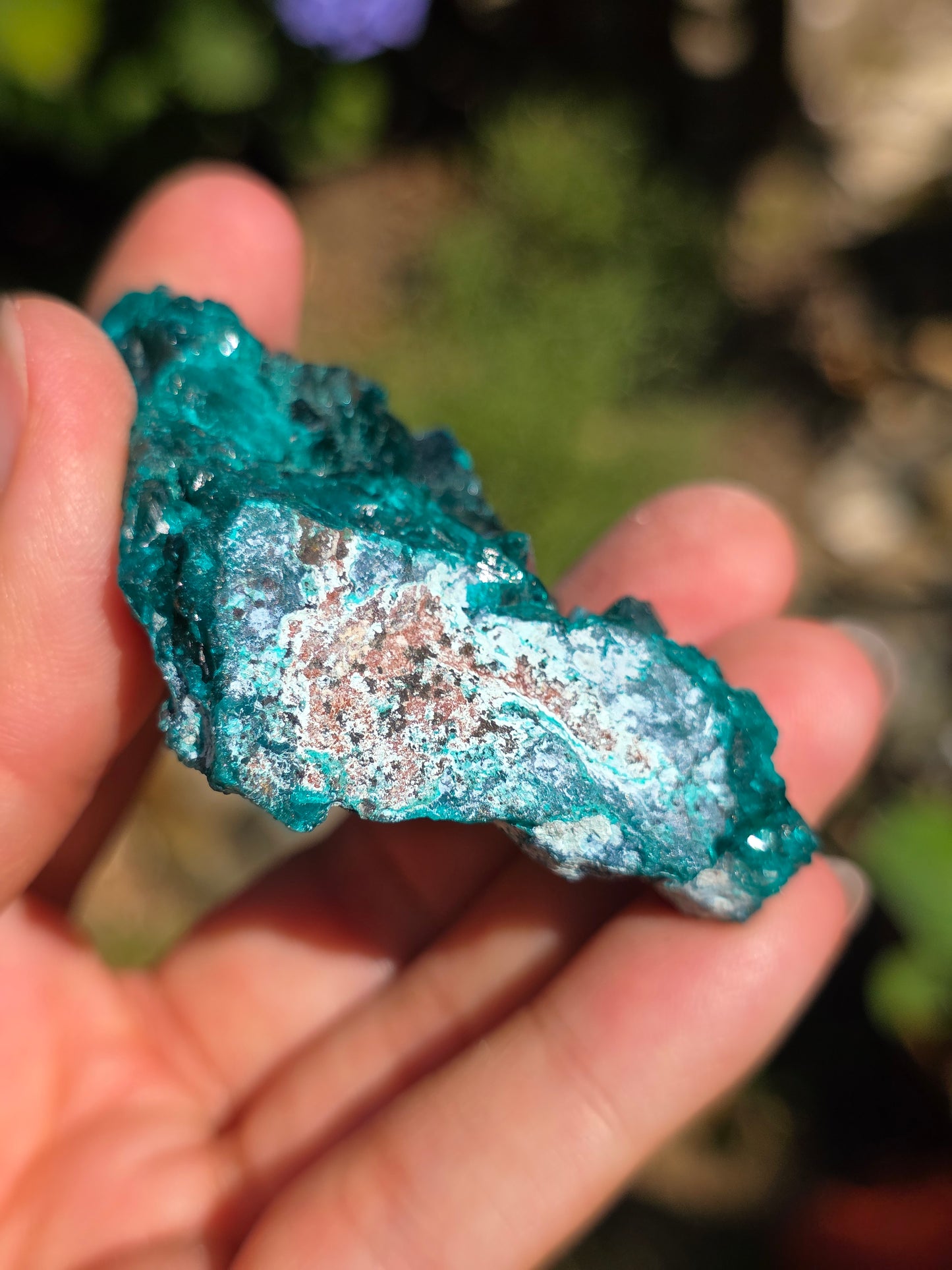 Dioptase cristallisée du Congo n°12