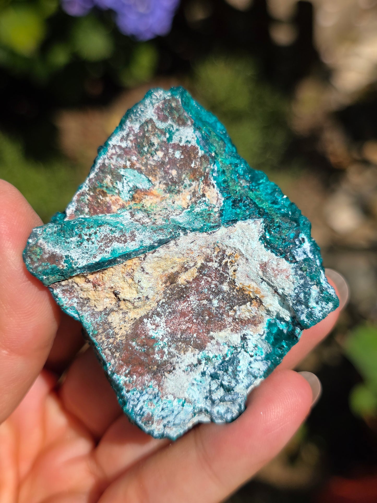 Dioptase cristallisée du Congo n°12