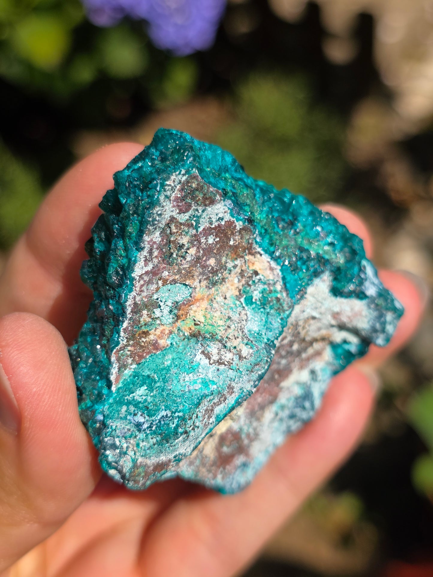 Dioptase cristallisée du Congo n°12
