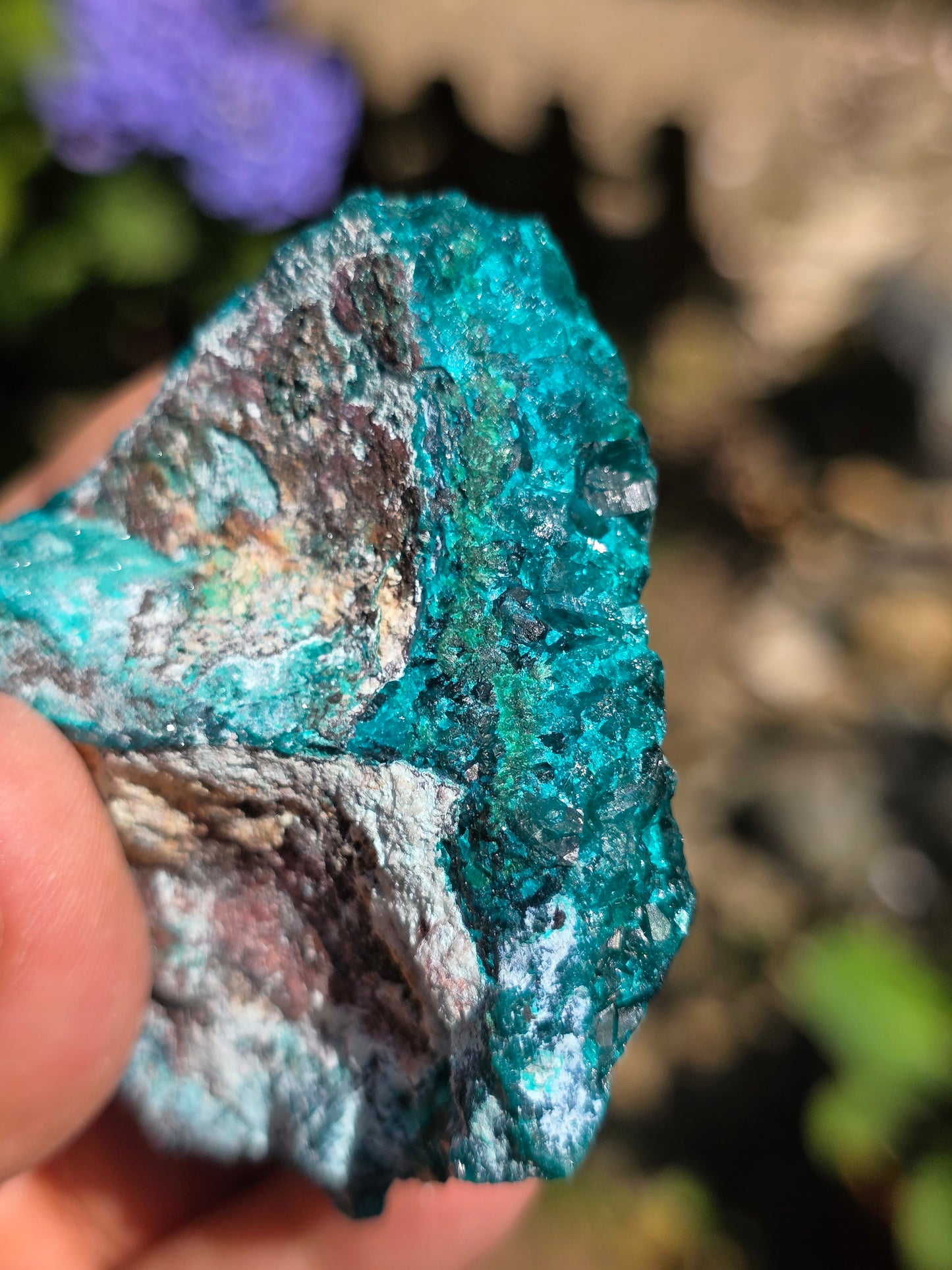 Dioptase cristallisée du Congo n°12