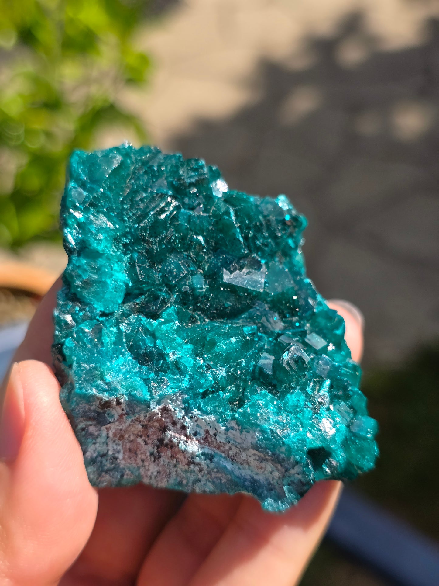 Dioptase cristallisée du Congo n°12