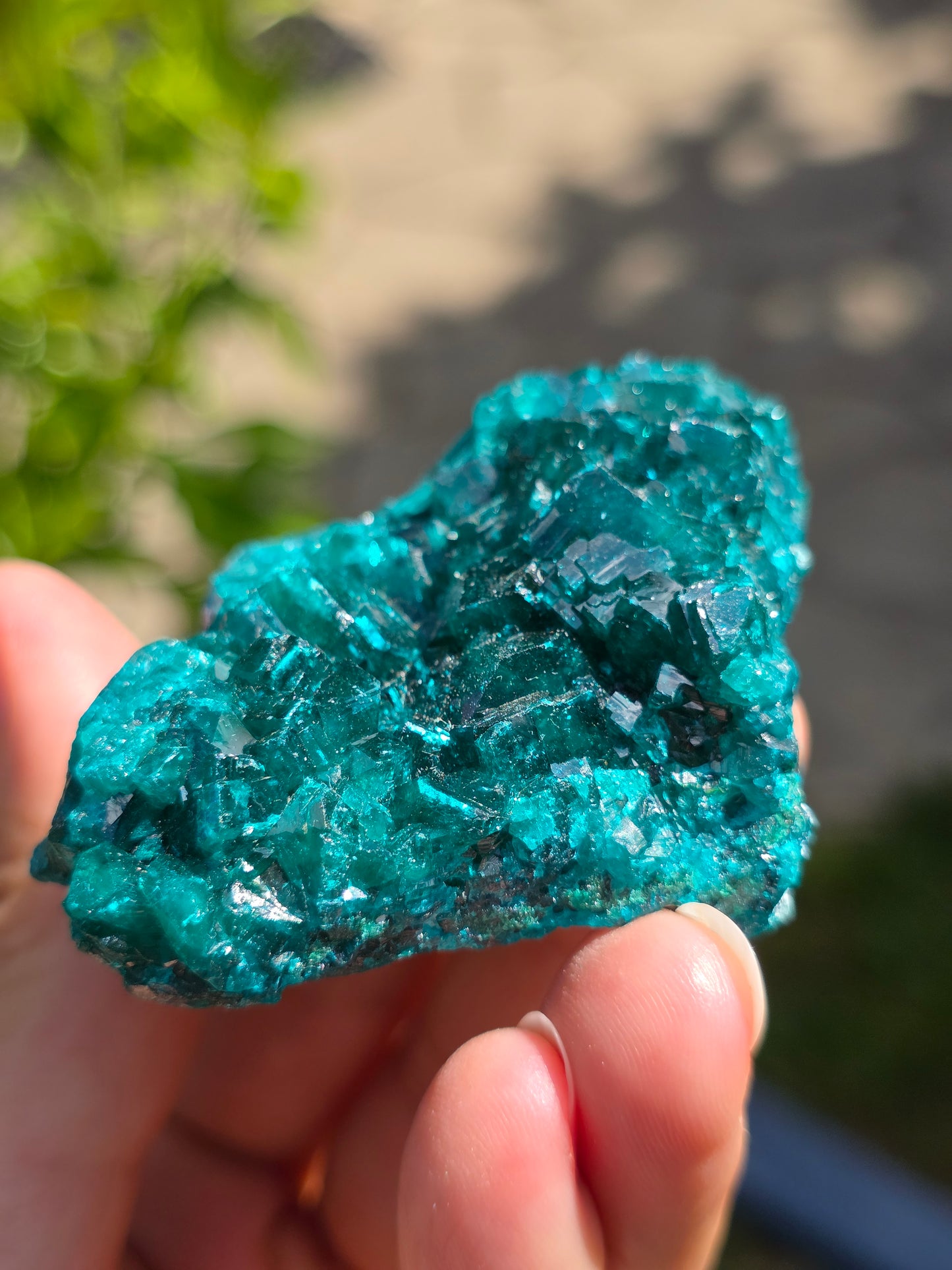 Dioptase cristallisée du Congo n°12