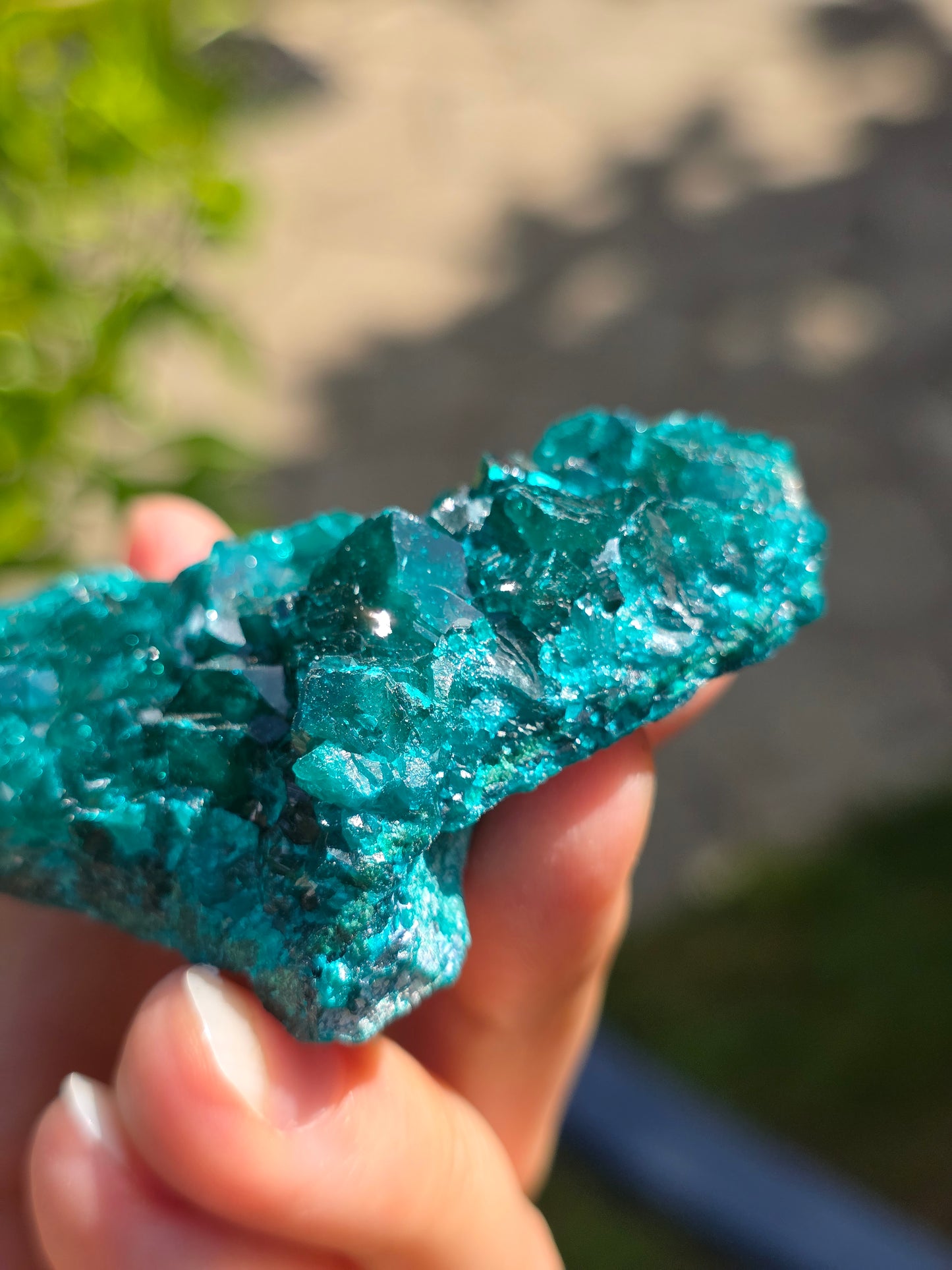 Dioptase cristallisée du Congo n°12