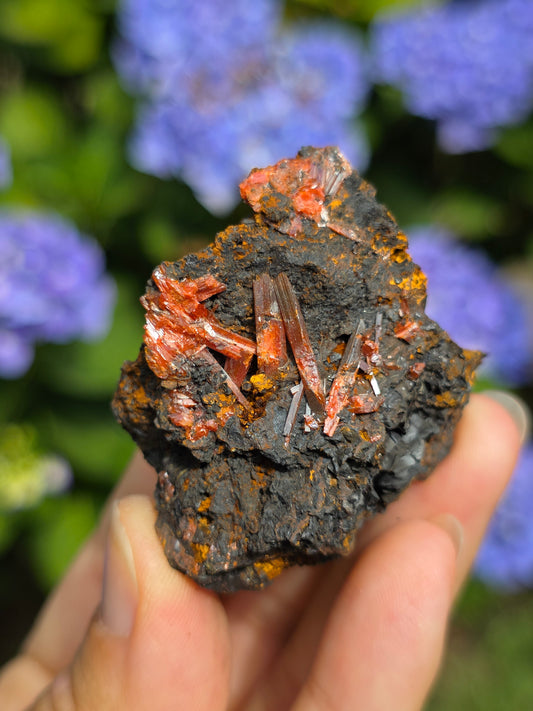 Crocoïte de Tasmanie n°2