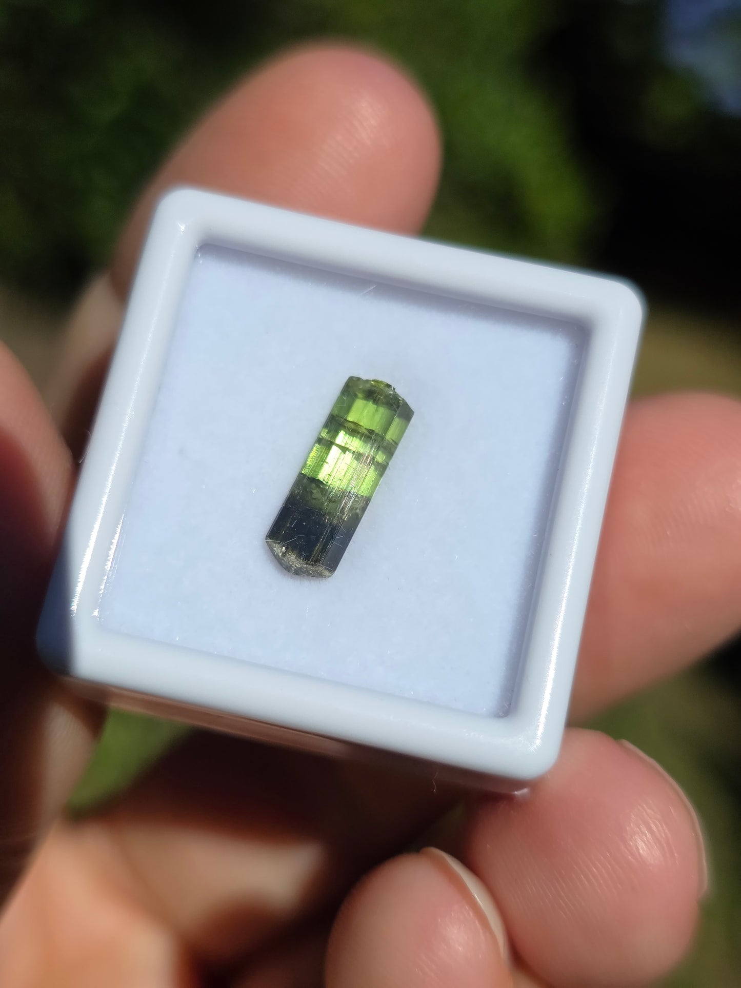 Tourmaline verte (à choisir)