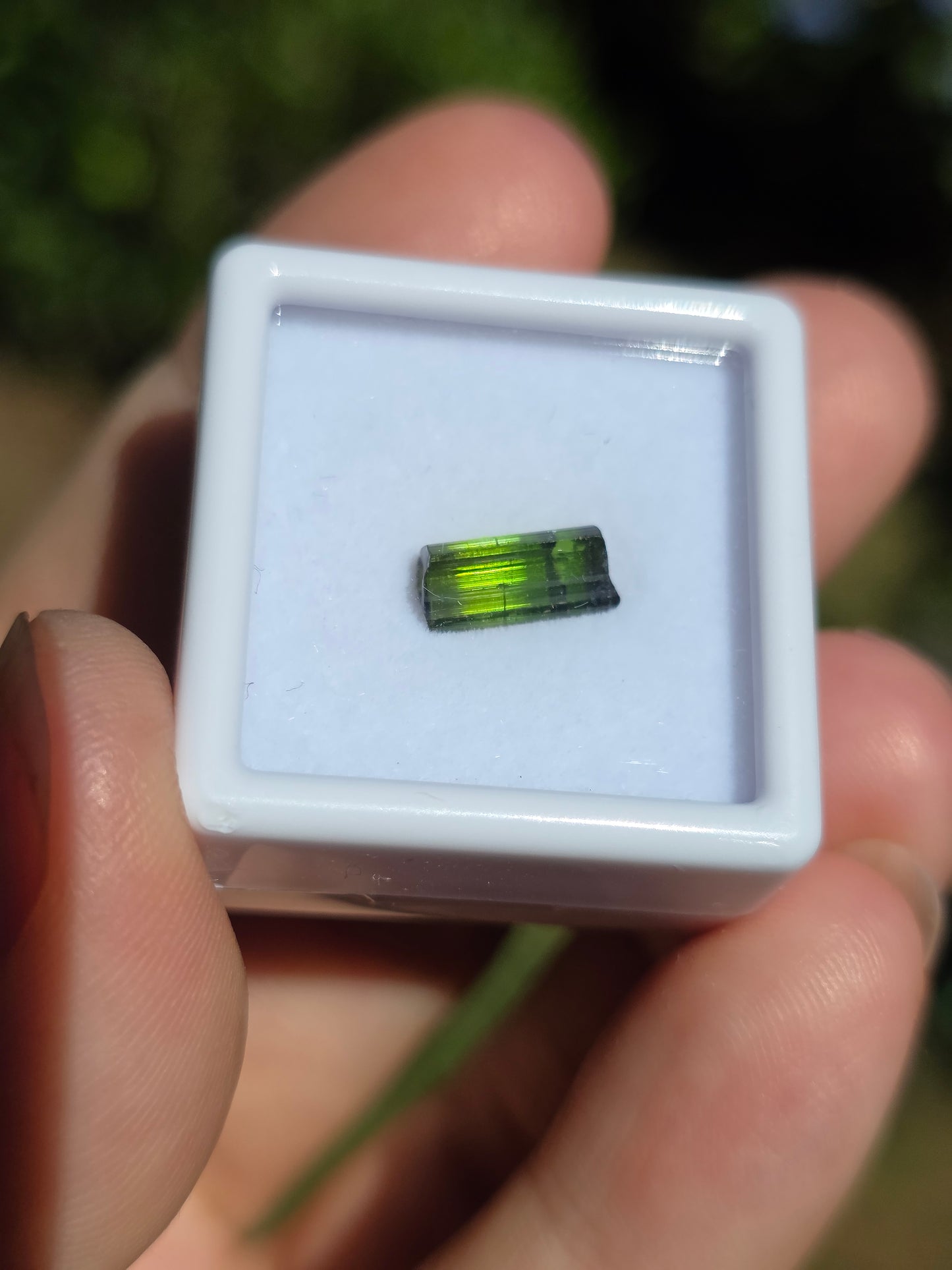 Tourmaline verte (à choisir)
