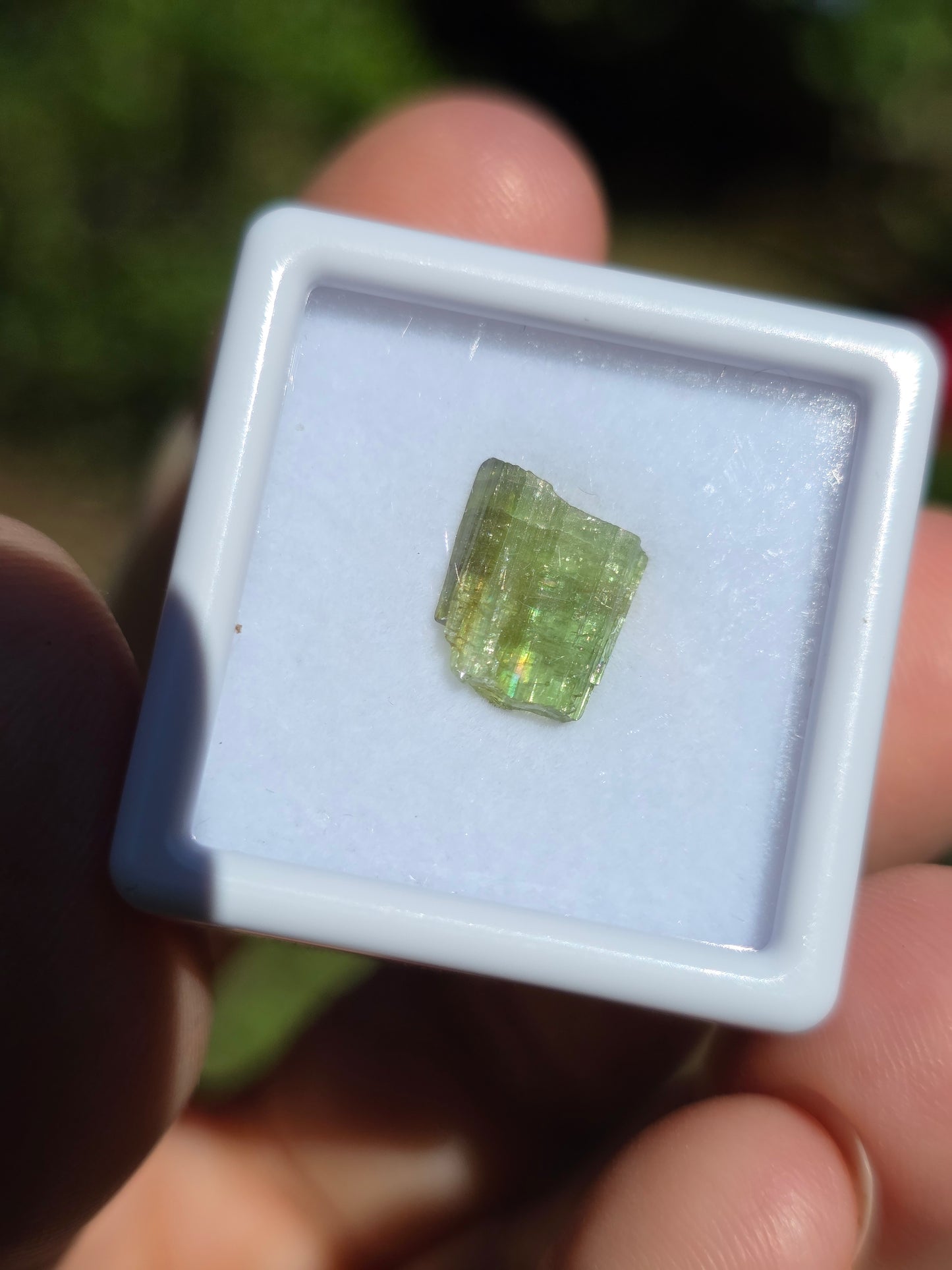 Tourmaline verte (à choisir)