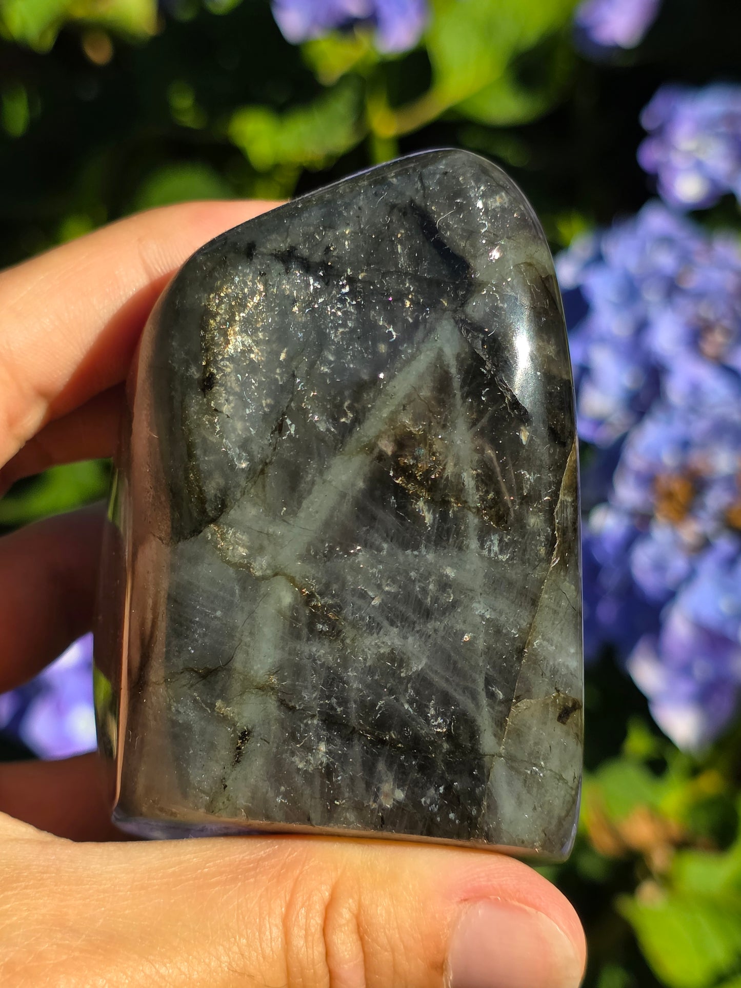 Forme libre Labradorite A