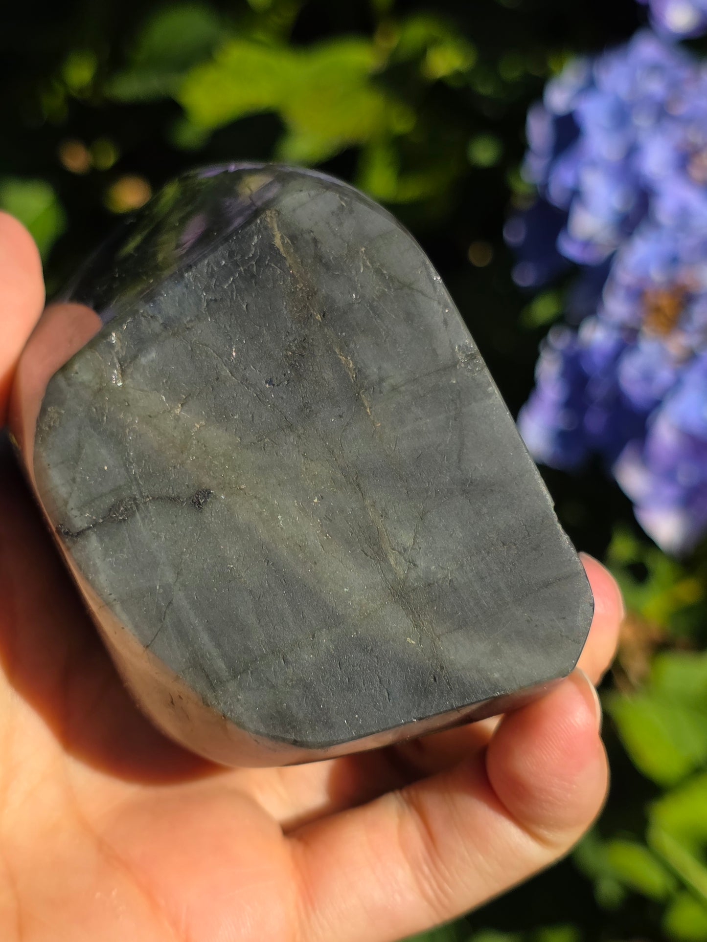 Forme libre Labradorite A