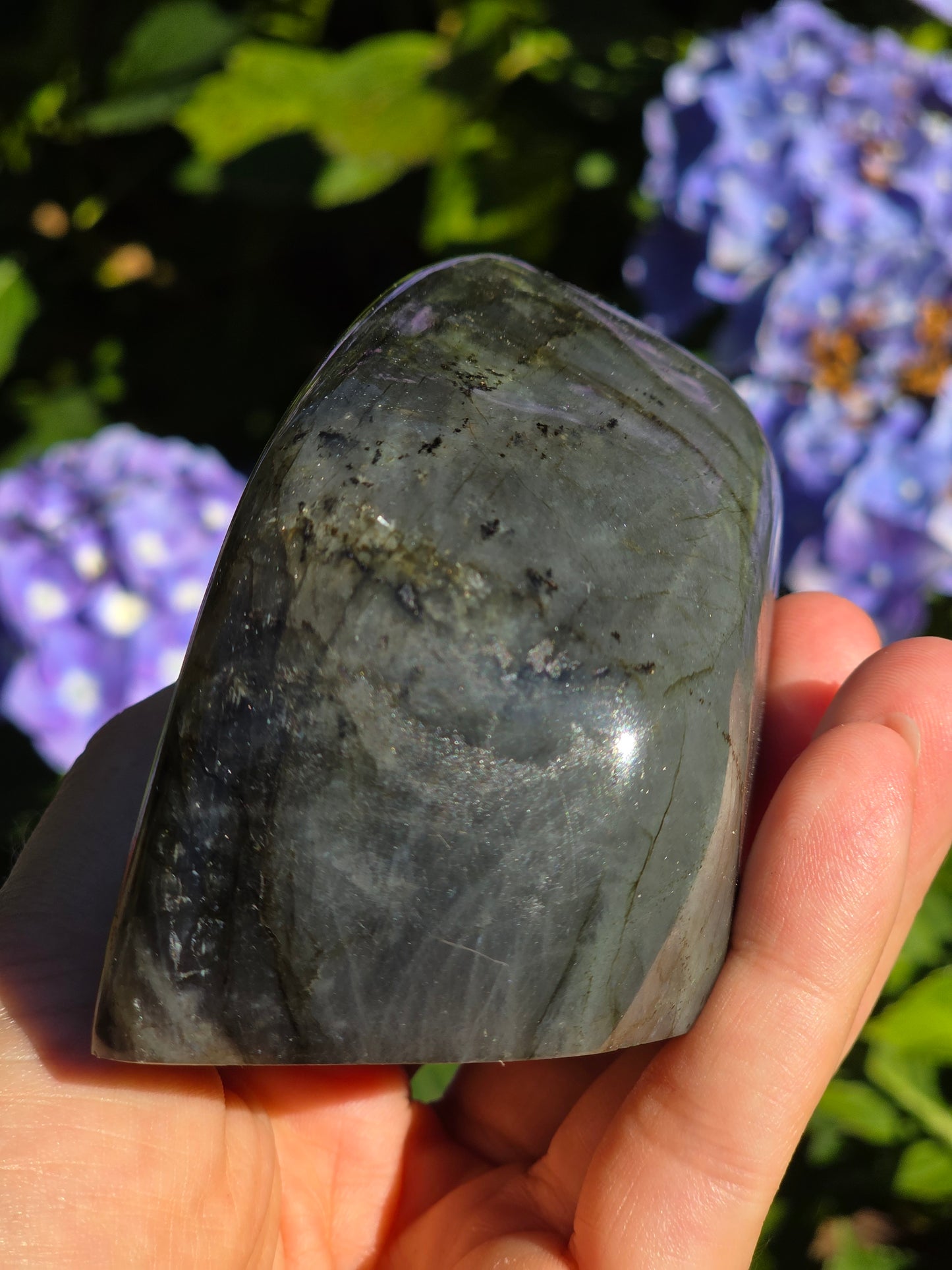 Forme libre Labradorite A