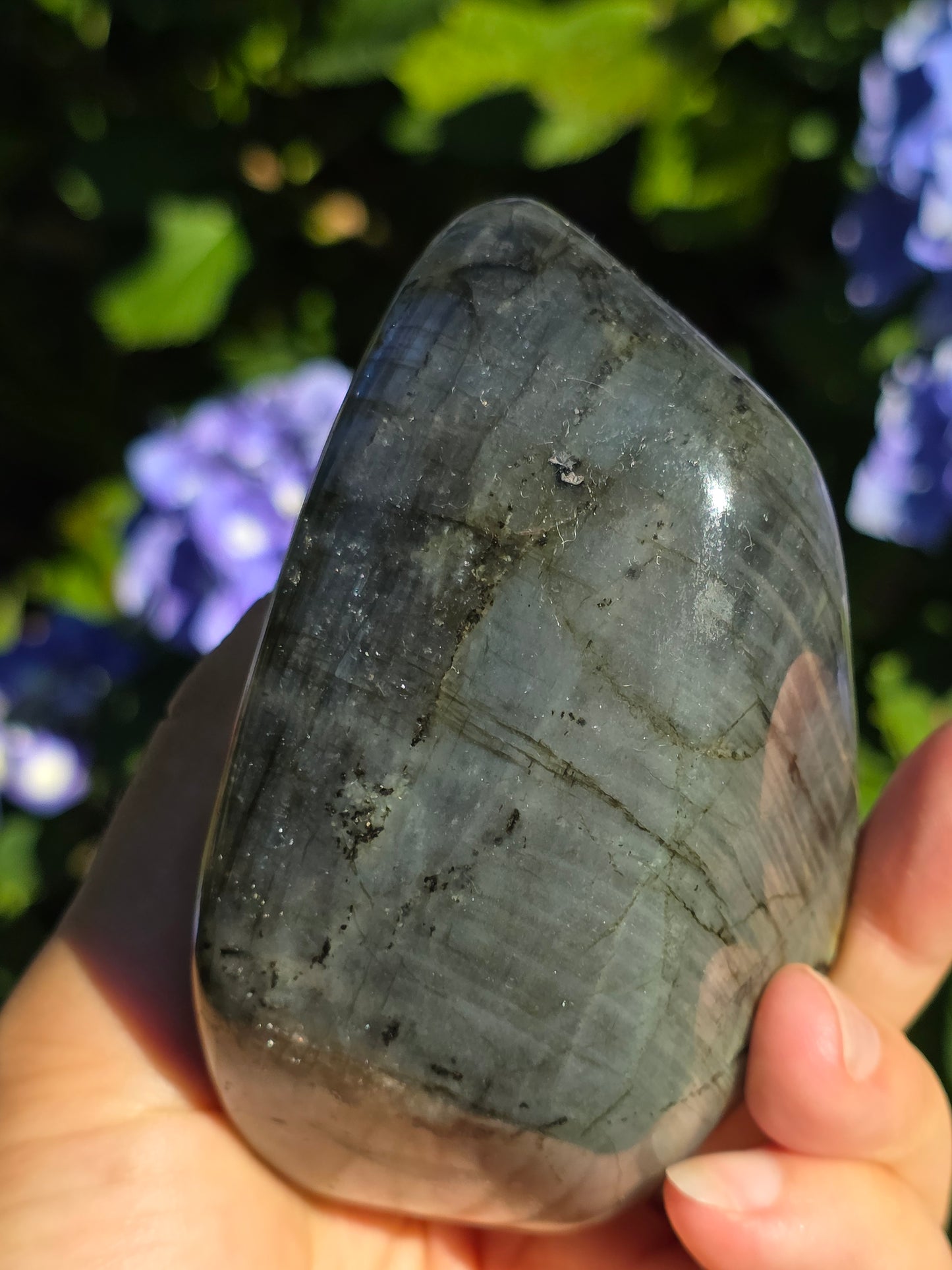 Forme libre Labradorite A
