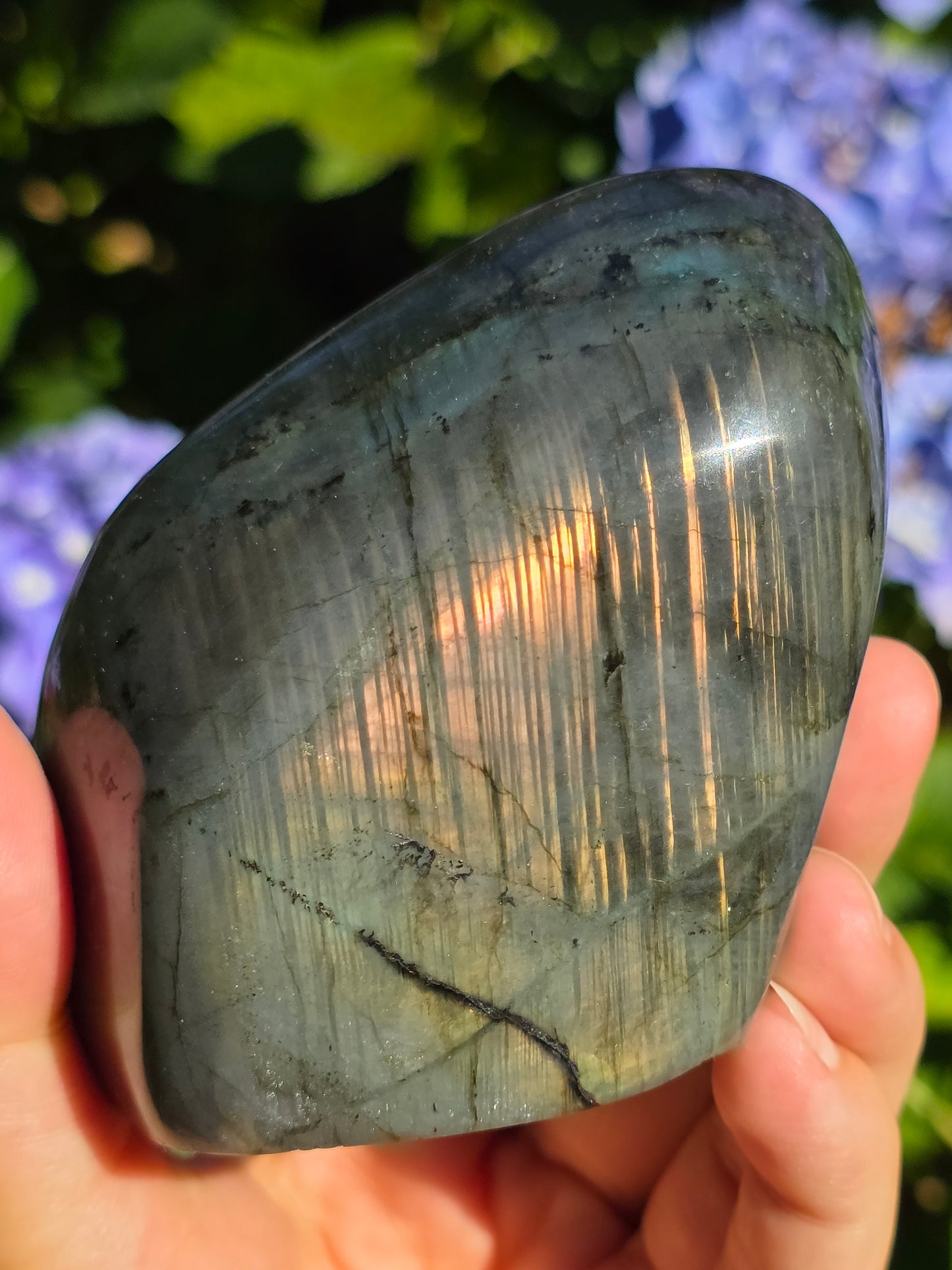 Forme libre Labradorite A