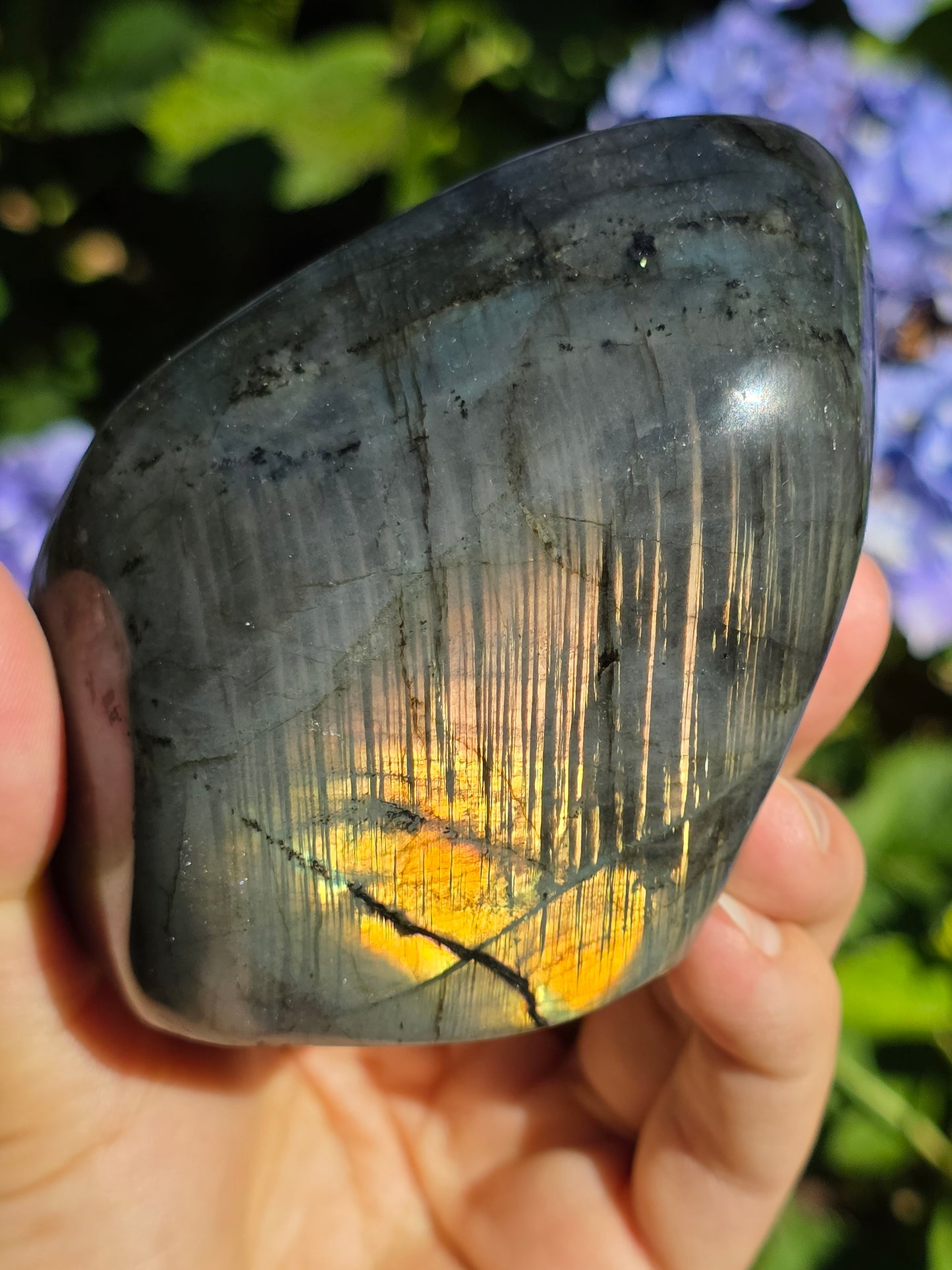 Forme libre Labradorite A