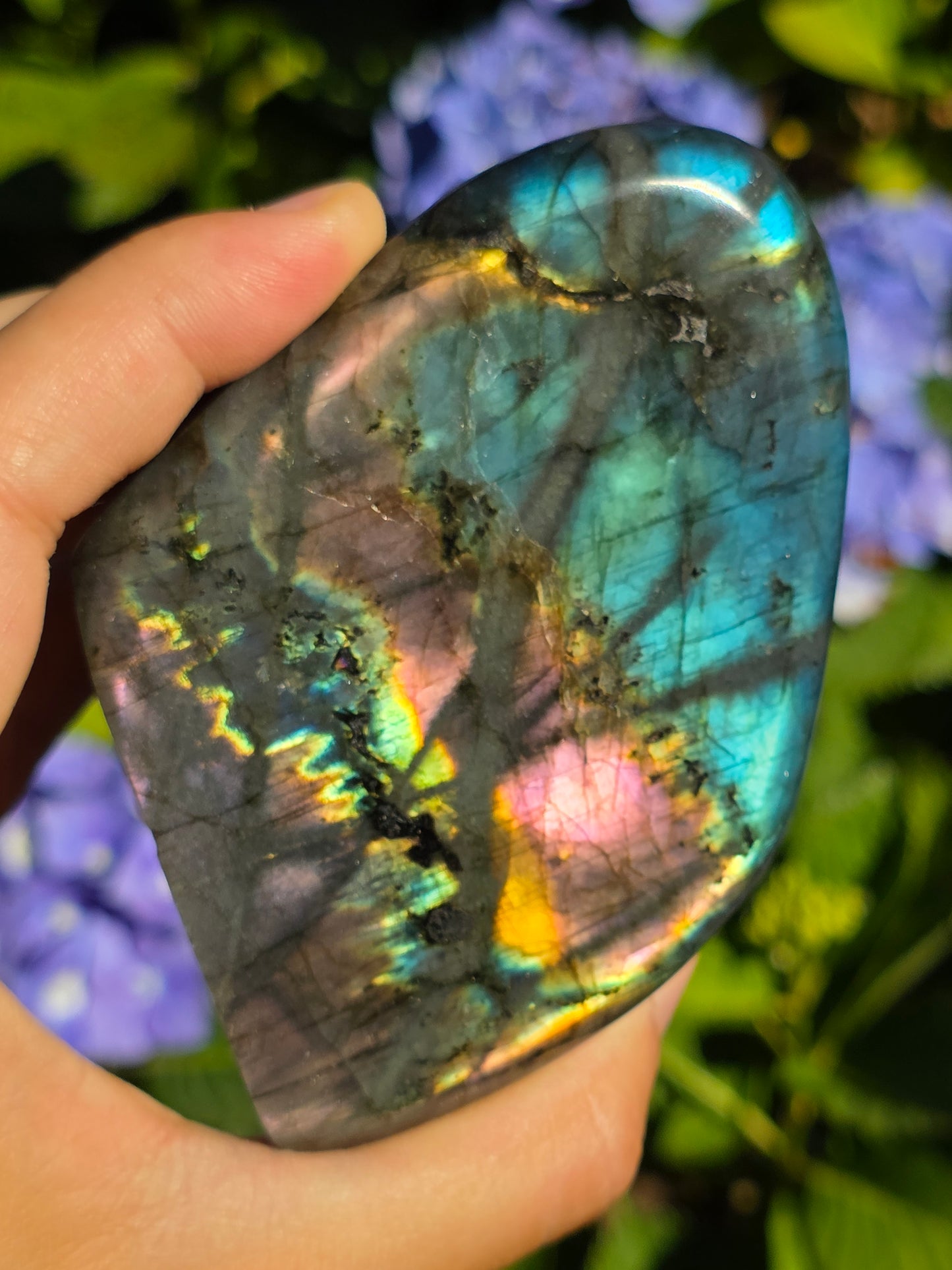 Forme libre Labradorite A