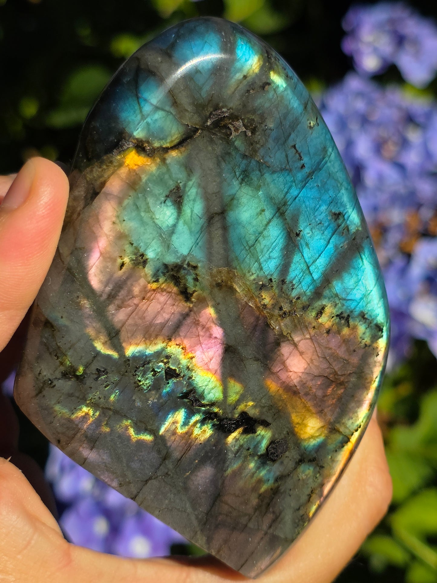 Forme libre Labradorite A