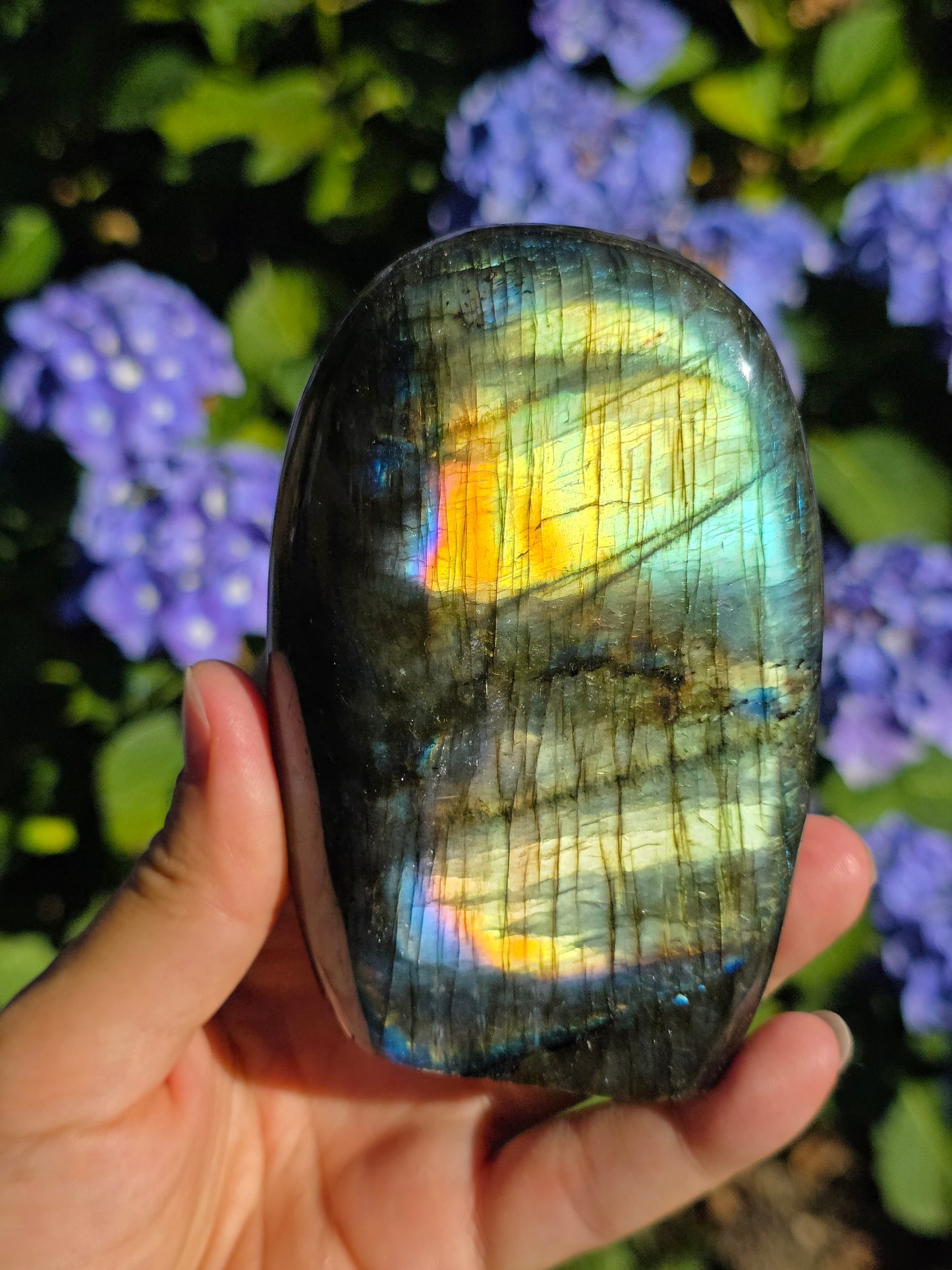 Forme libre Labradorite B