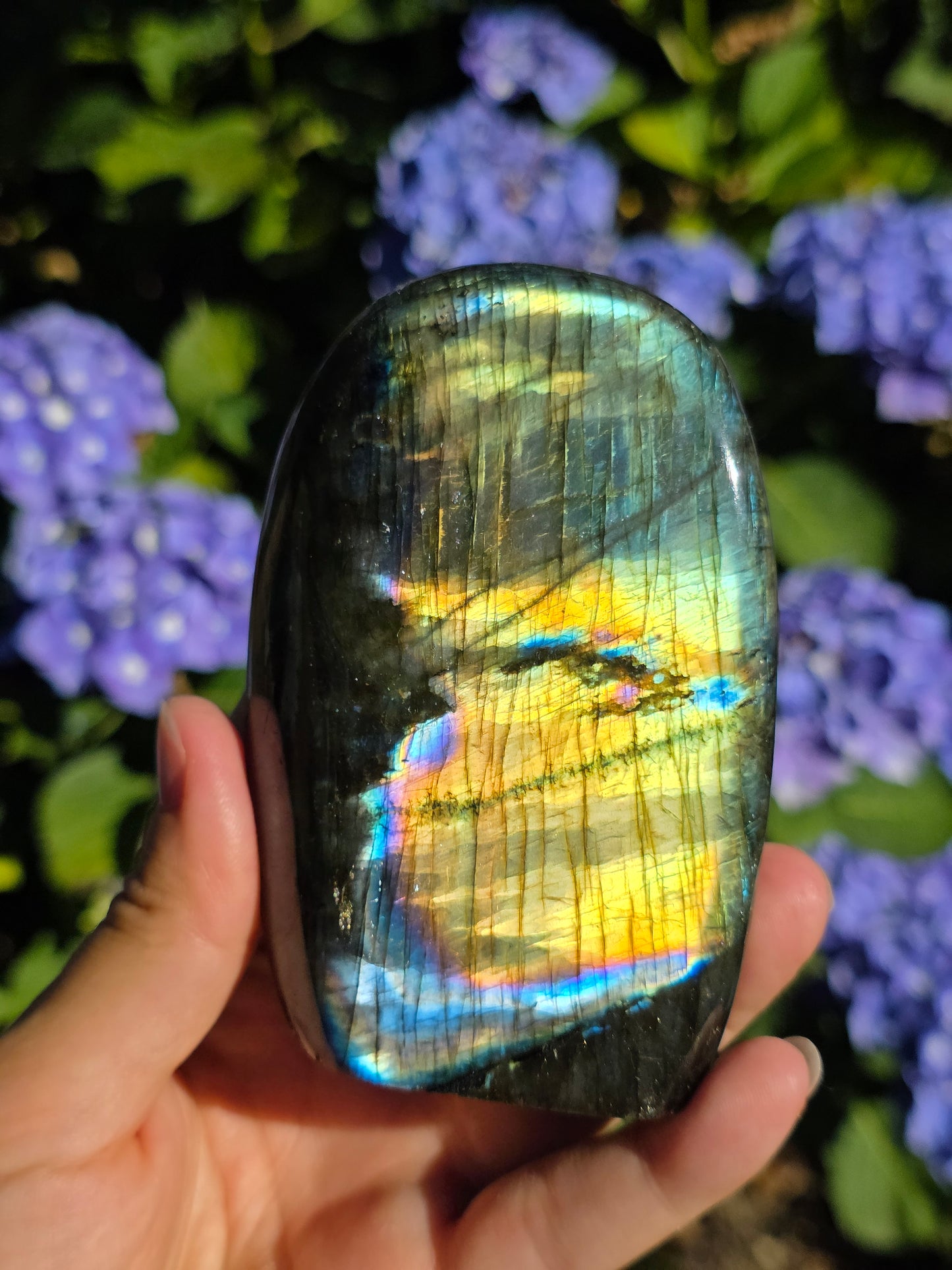 Forme libre Labradorite B
