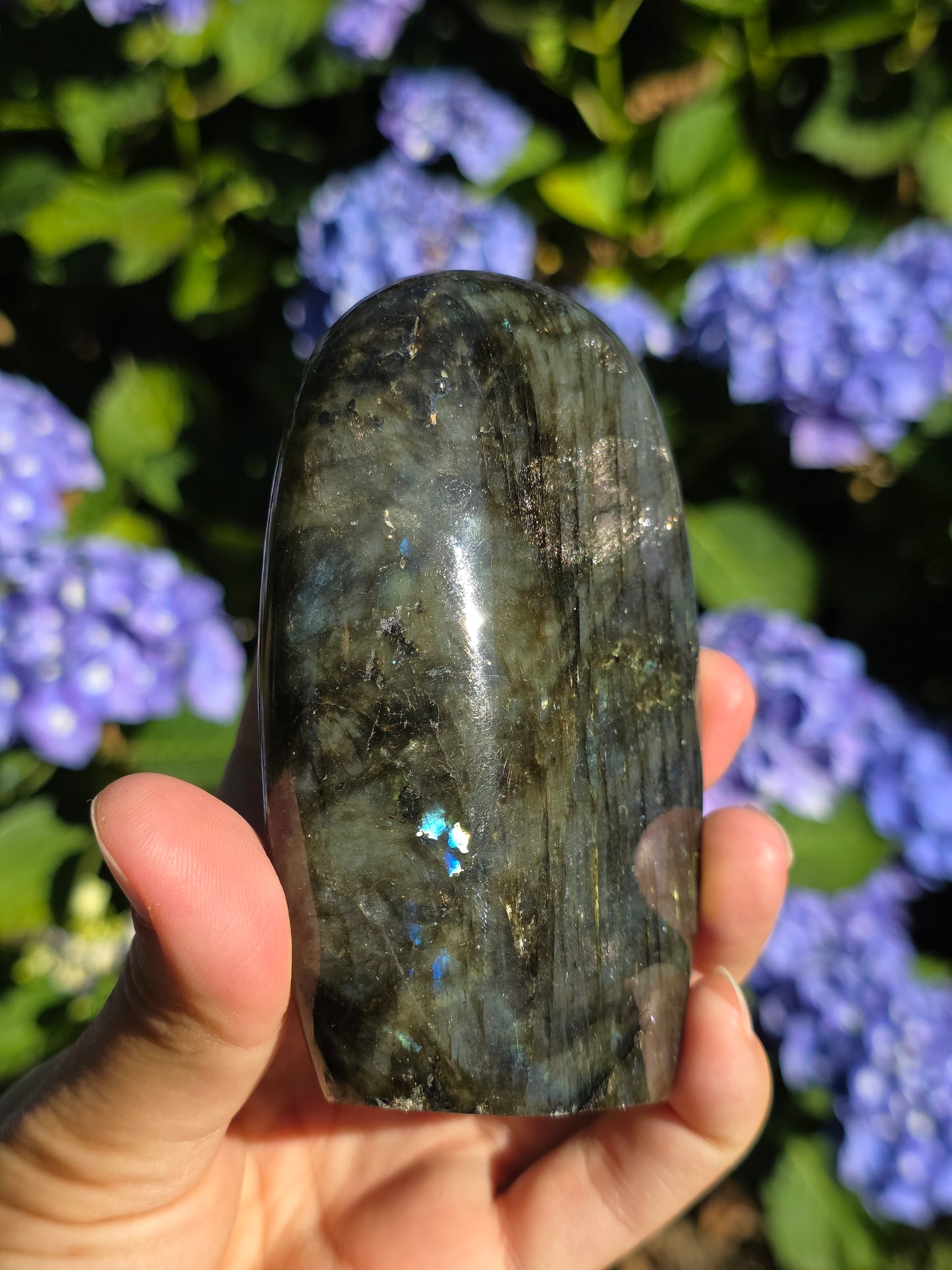 Forme libre Labradorite B
